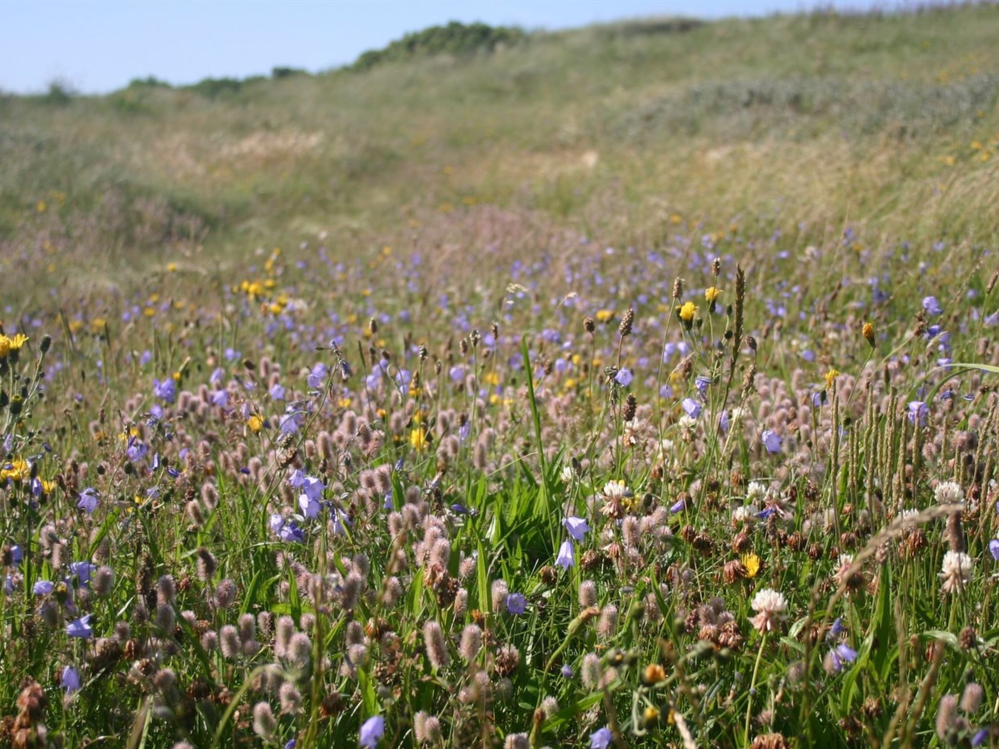 "Gisa" - 400m from the sea - Buiten