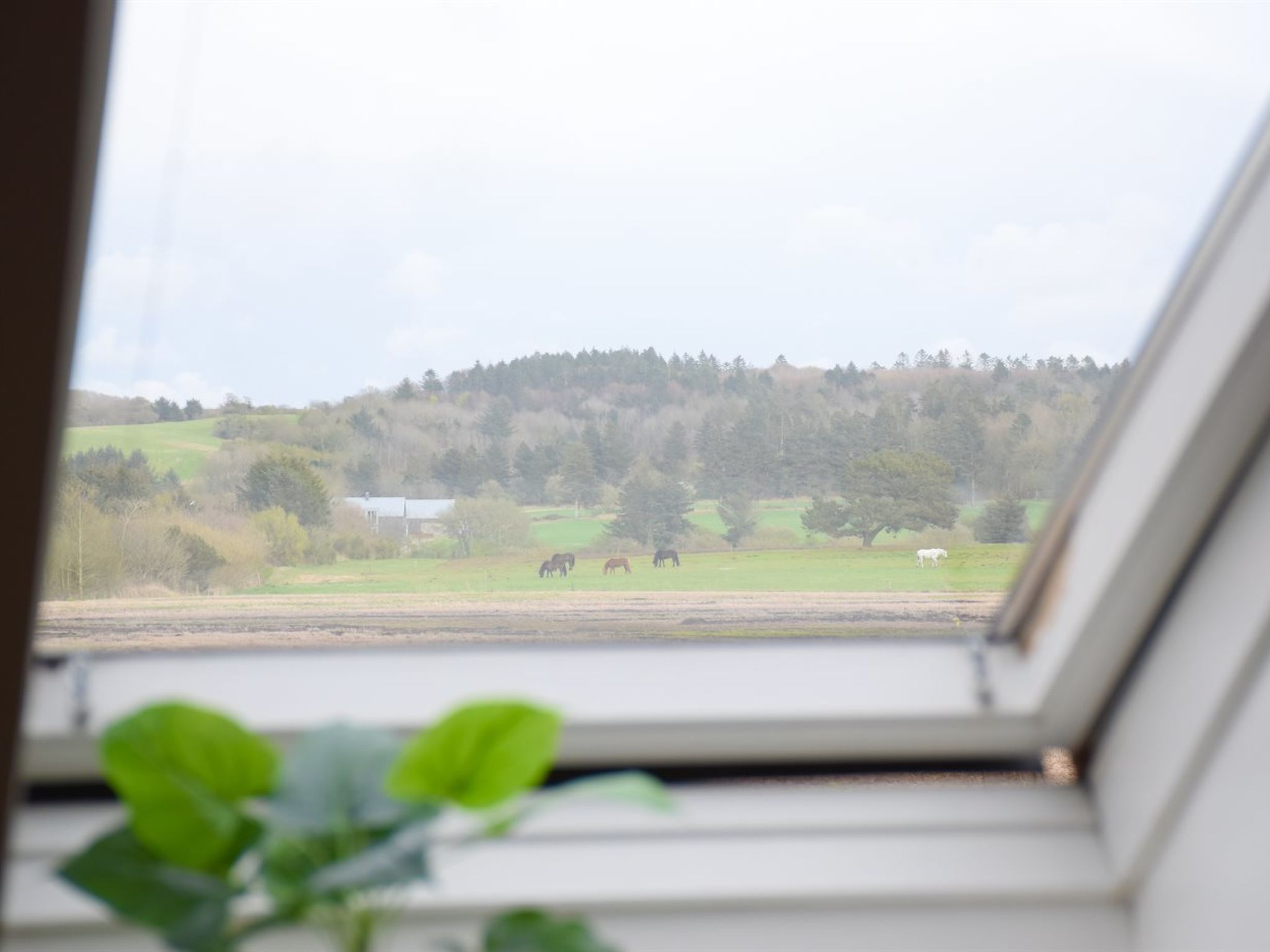 "Elza" - 2.5km from the sea-Outside