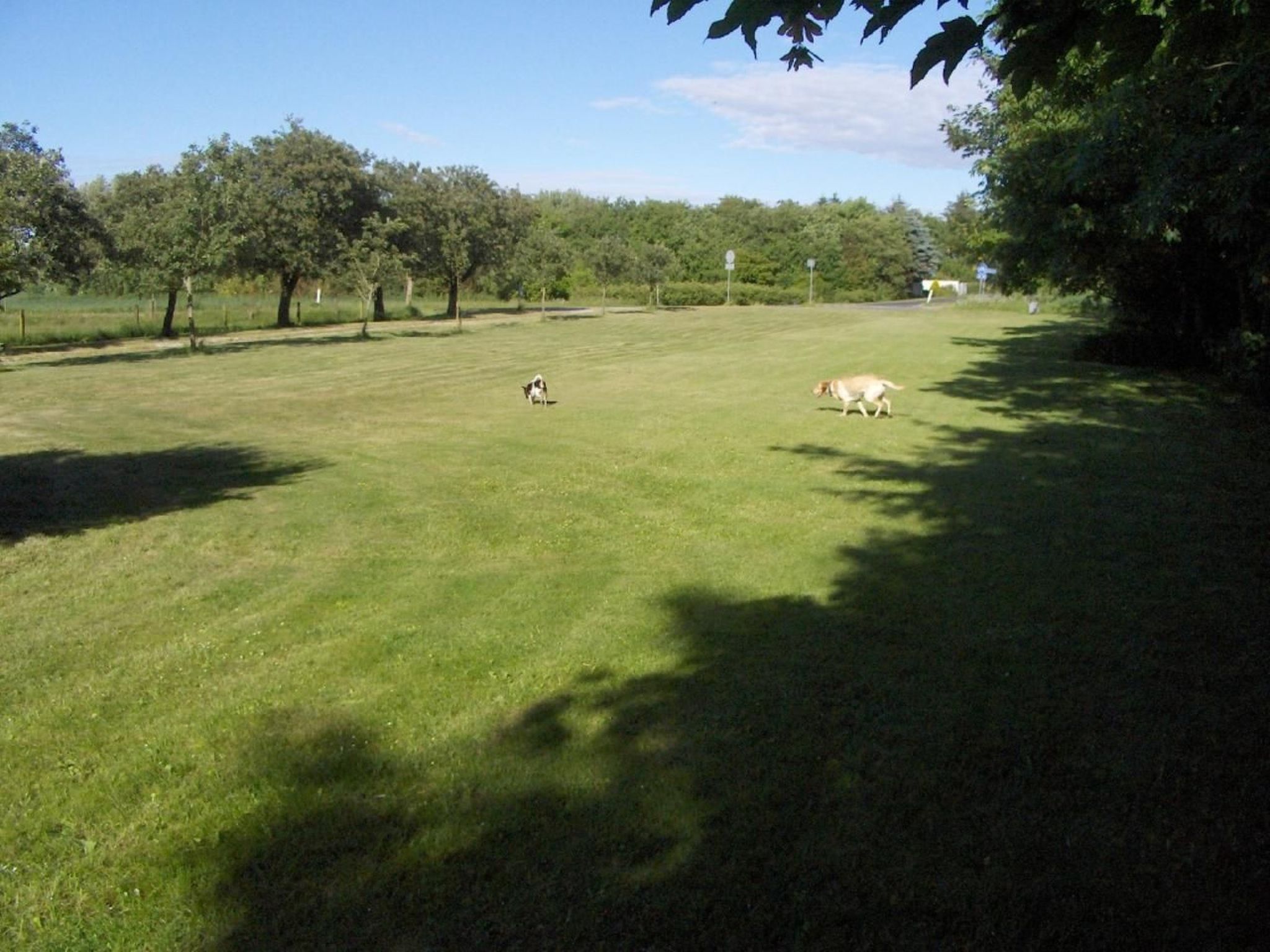 Photo of Fewo Skjærnsøde