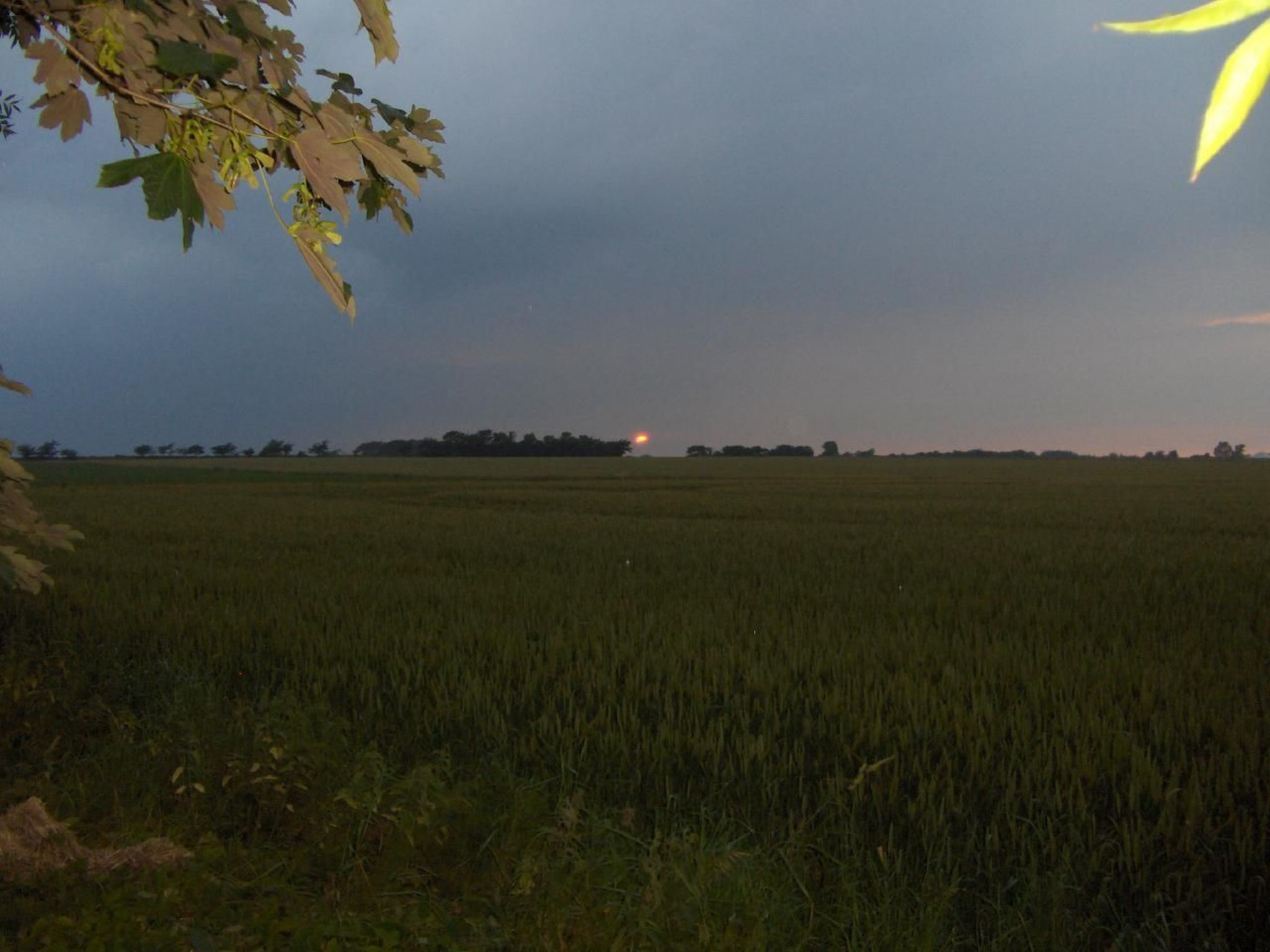 Photo of Fewo Skjærnsøde