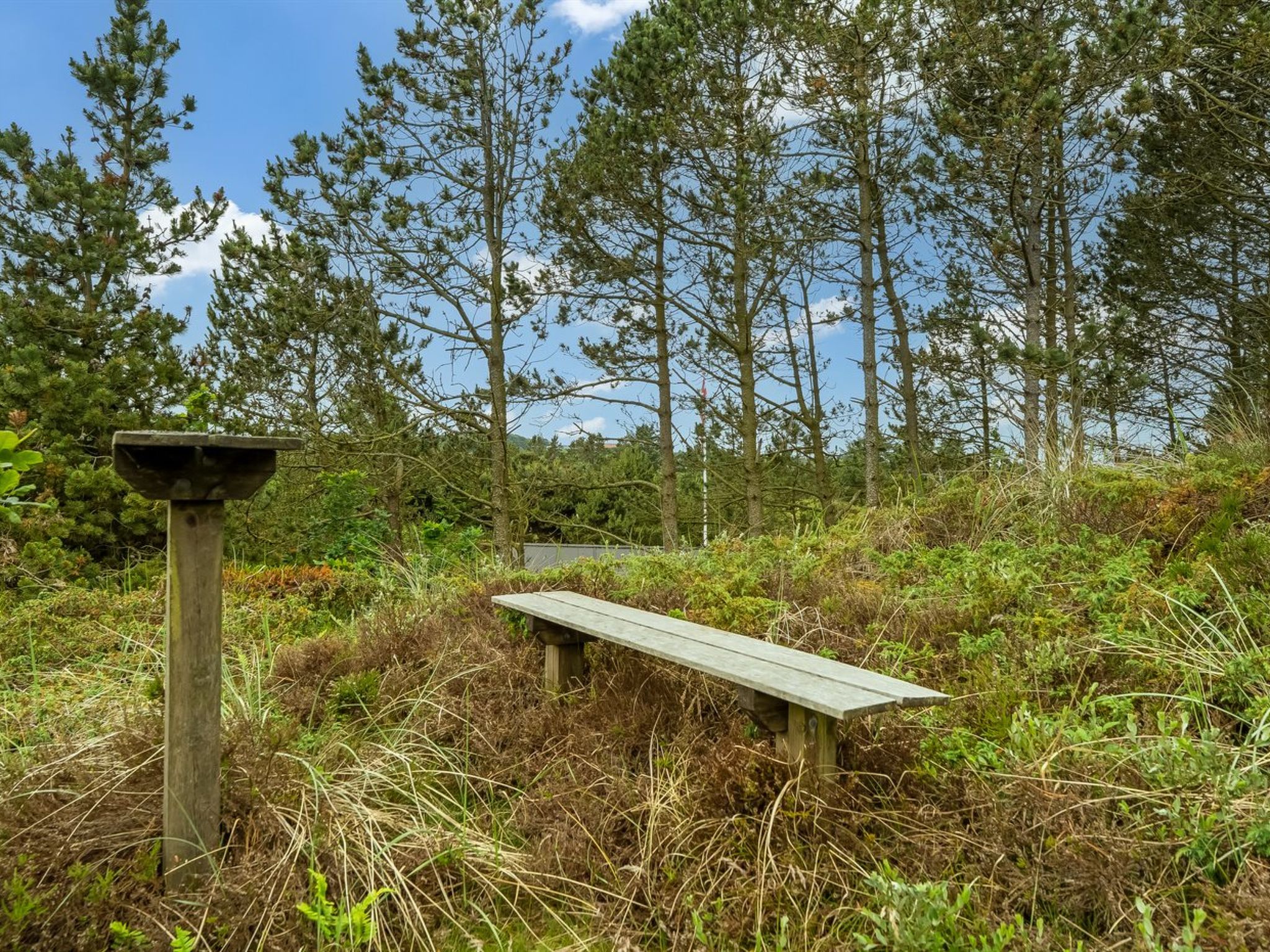 "Nikoletta" - 150m from the sea - Buiten