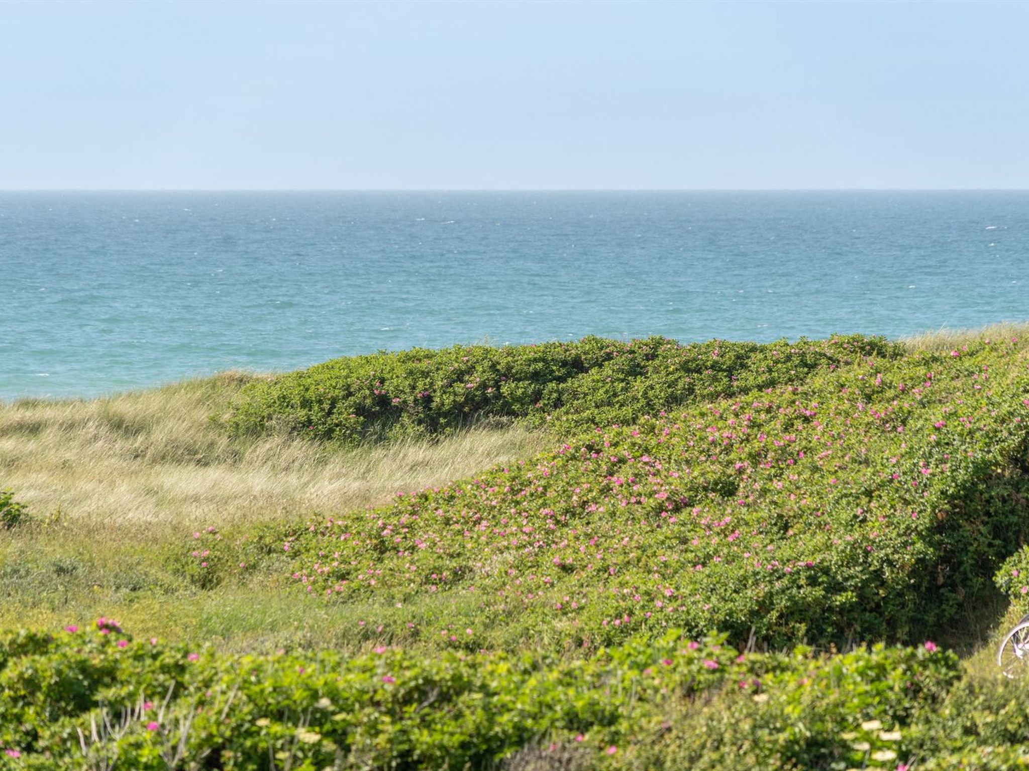 "Heidine" - 176m from the sea - Buiten