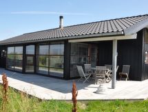 Vrijstaand vakantiehuis Sigvalda met sauna op 250 meter van de Deense kust - thumbnail 1