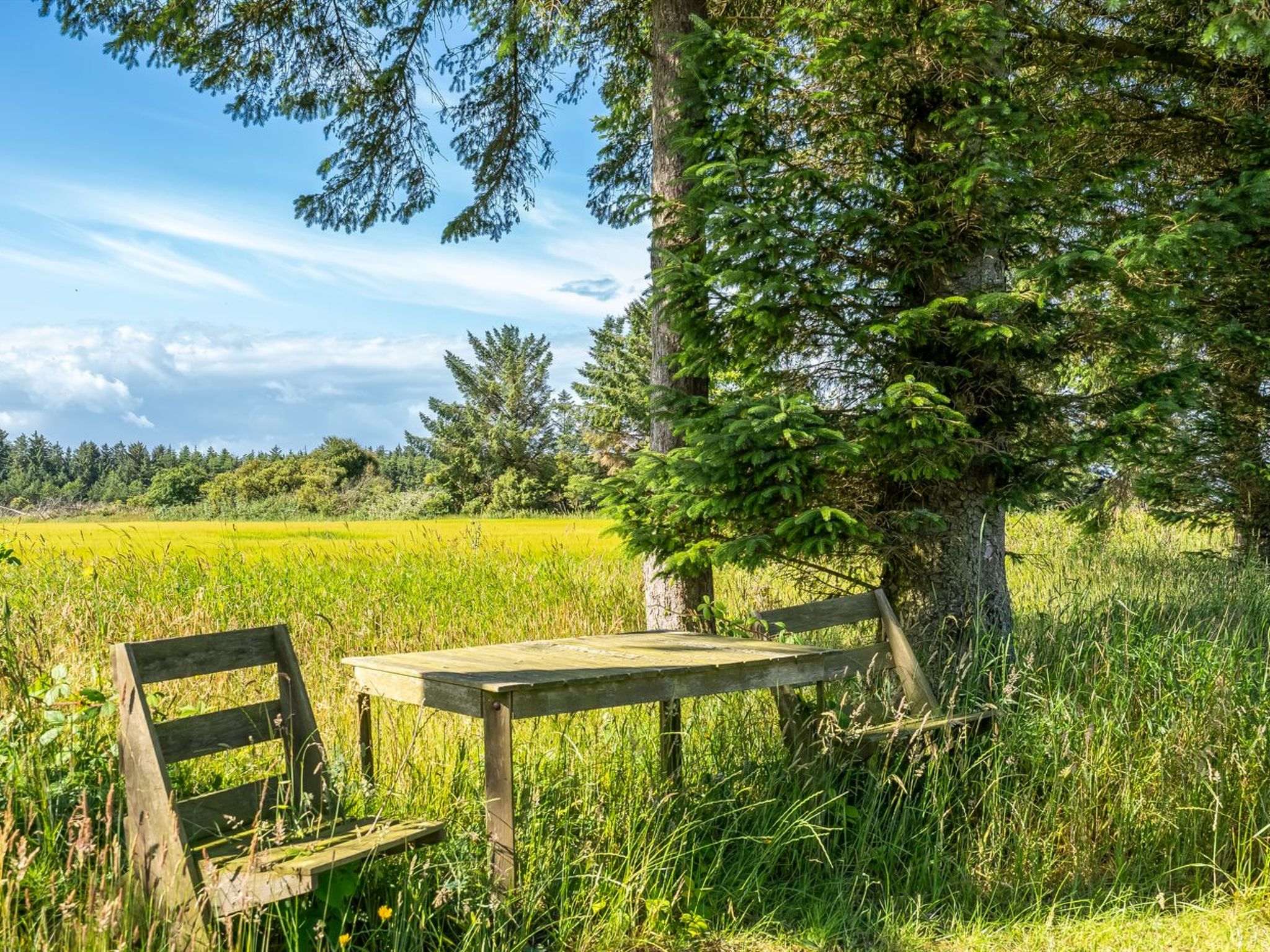 "Engelina" - 1.3km from the sea - Buiten