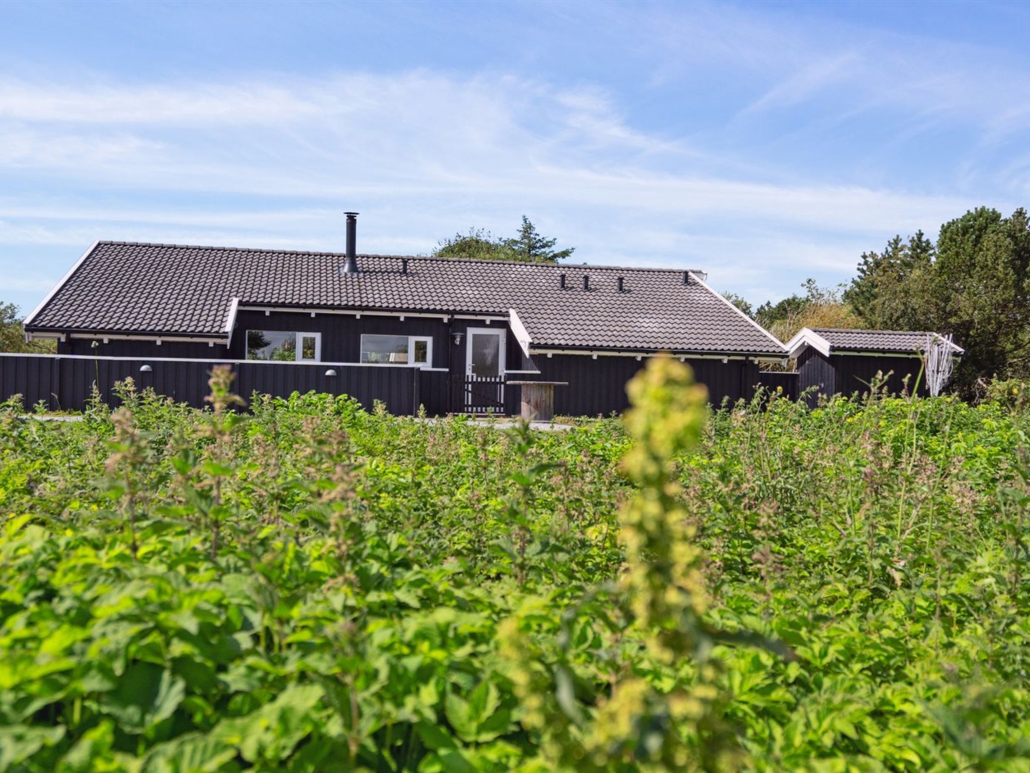 "Blondine" - 940m from the sea - Buiten