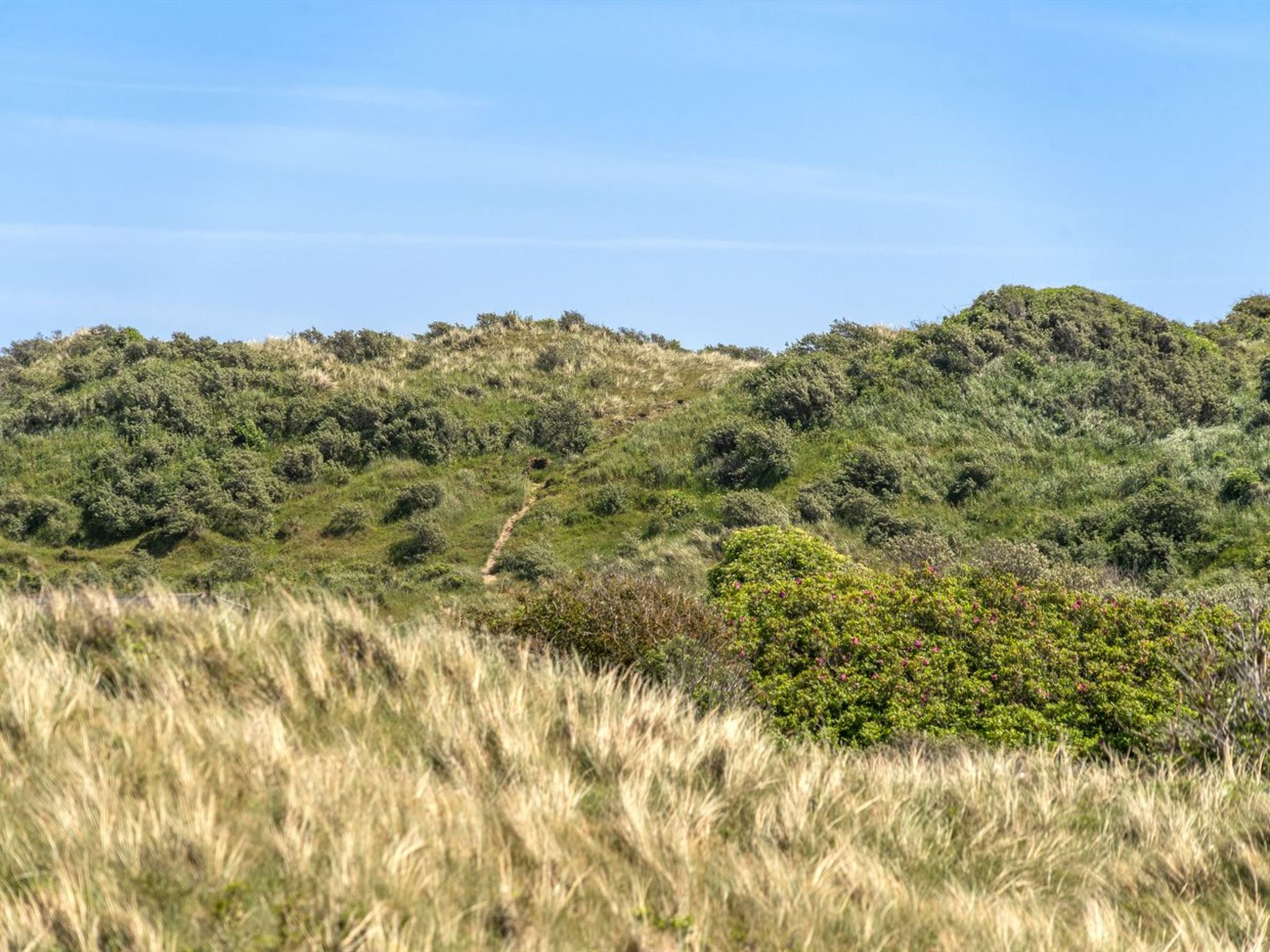 "Randulf" - 450m from the sea - Outside