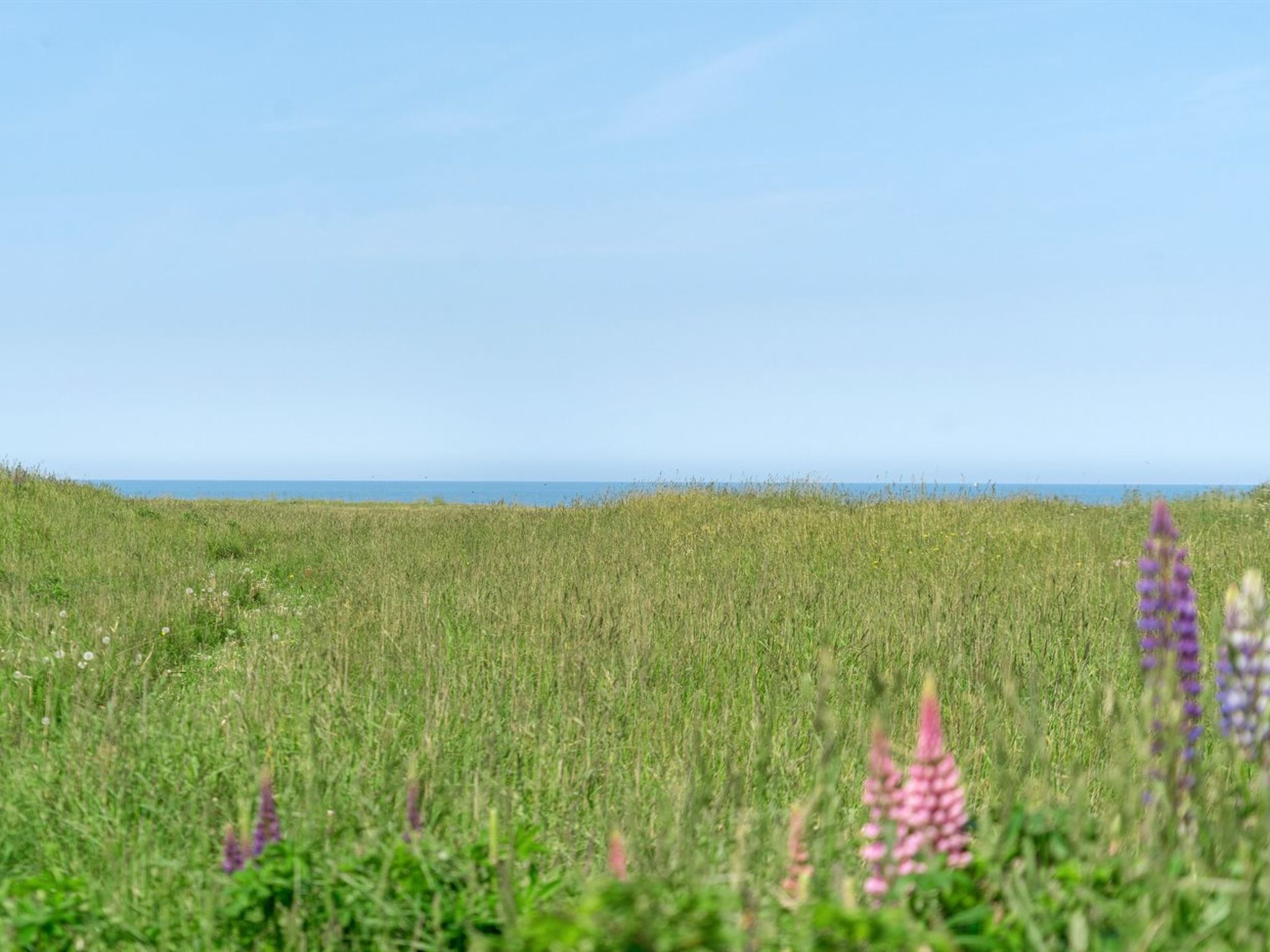 "Ananda" - 245m from the sea - Buiten