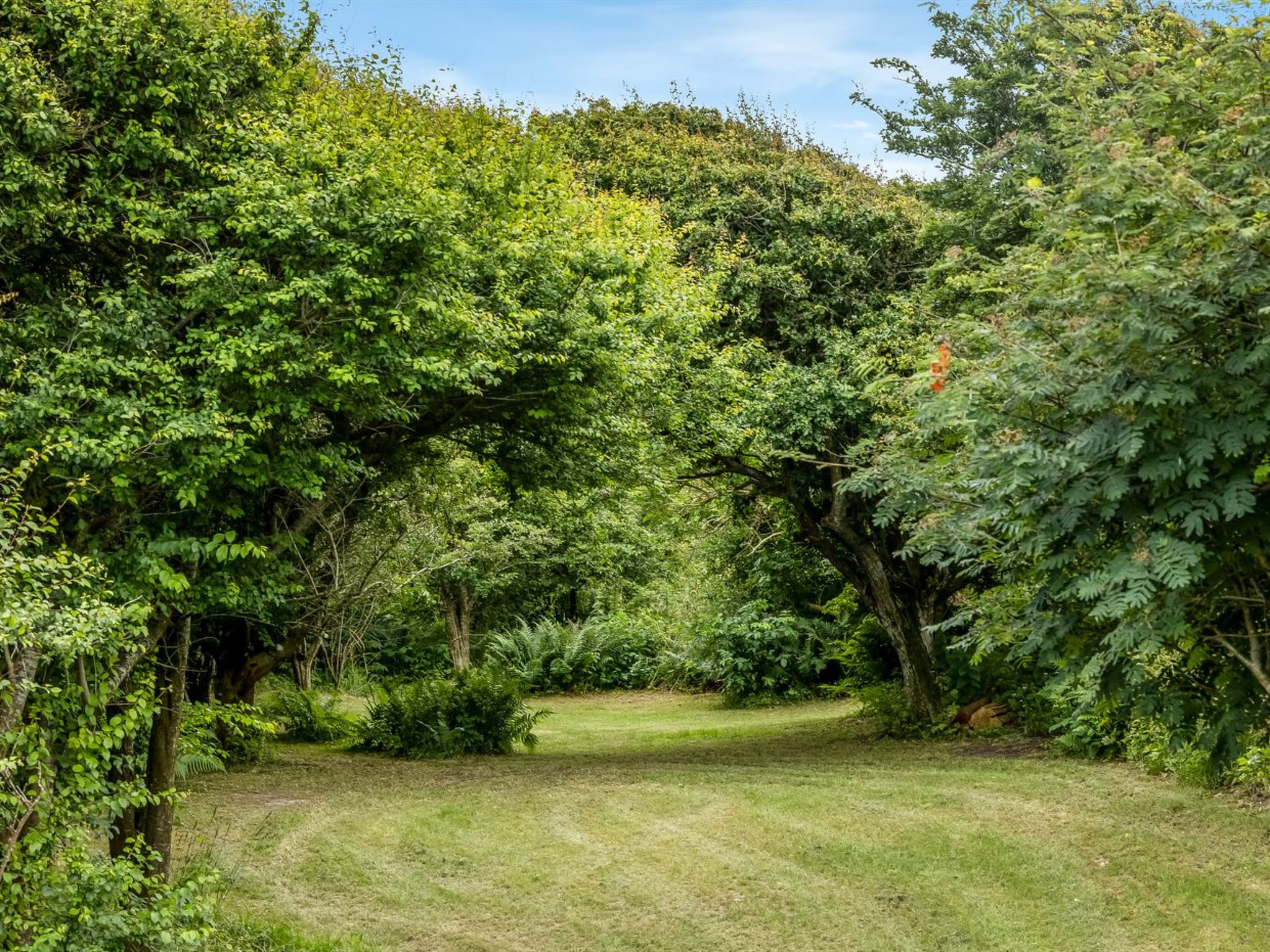 "Sorja" - 420m from the sea - Buiten