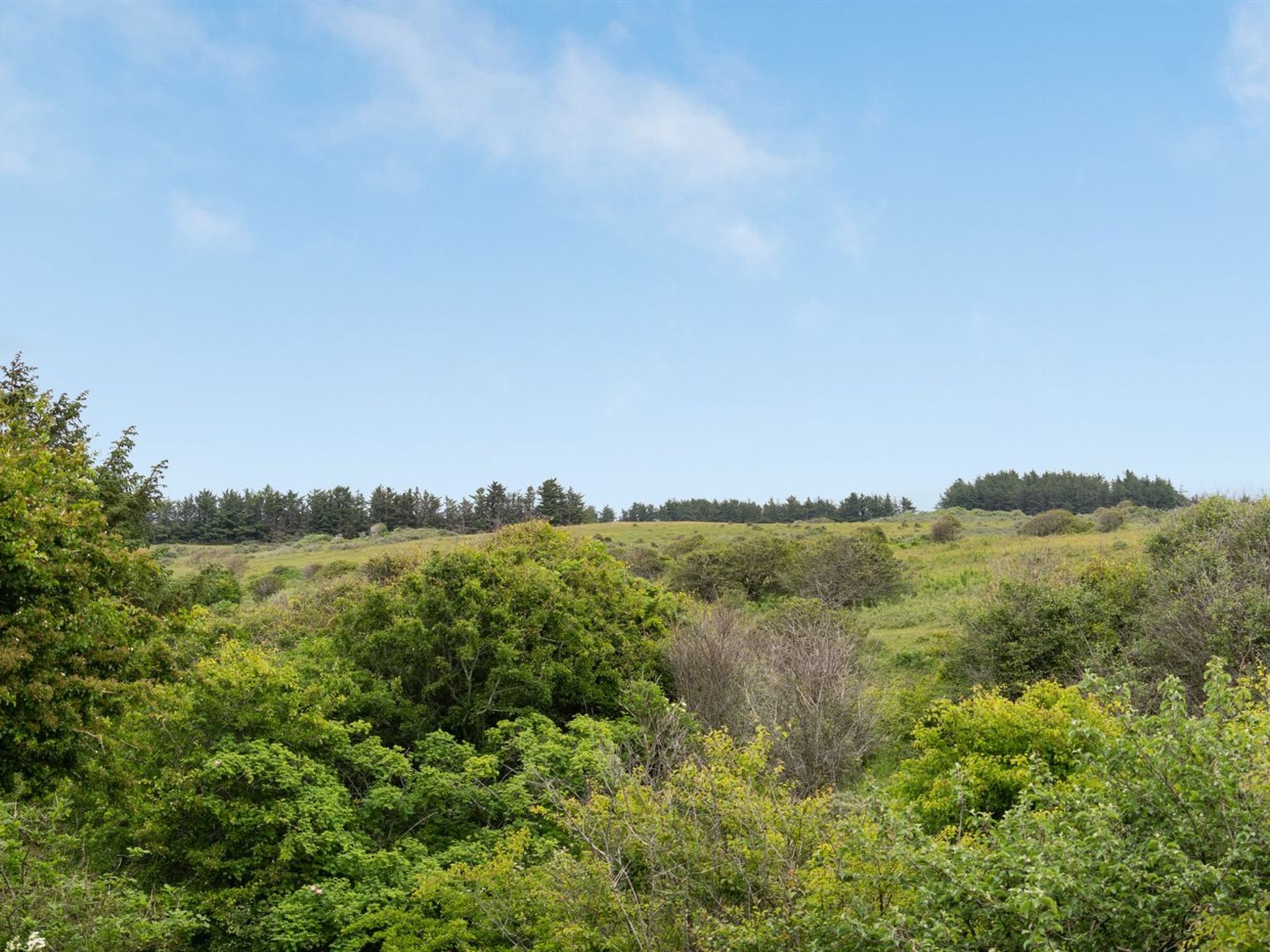 "Sorja" - 420m from the sea-Draußen