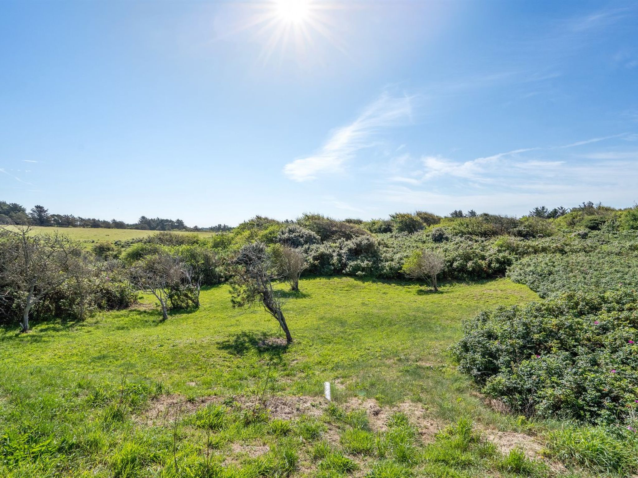 "Vilda" - 416m from the sea - Buiten