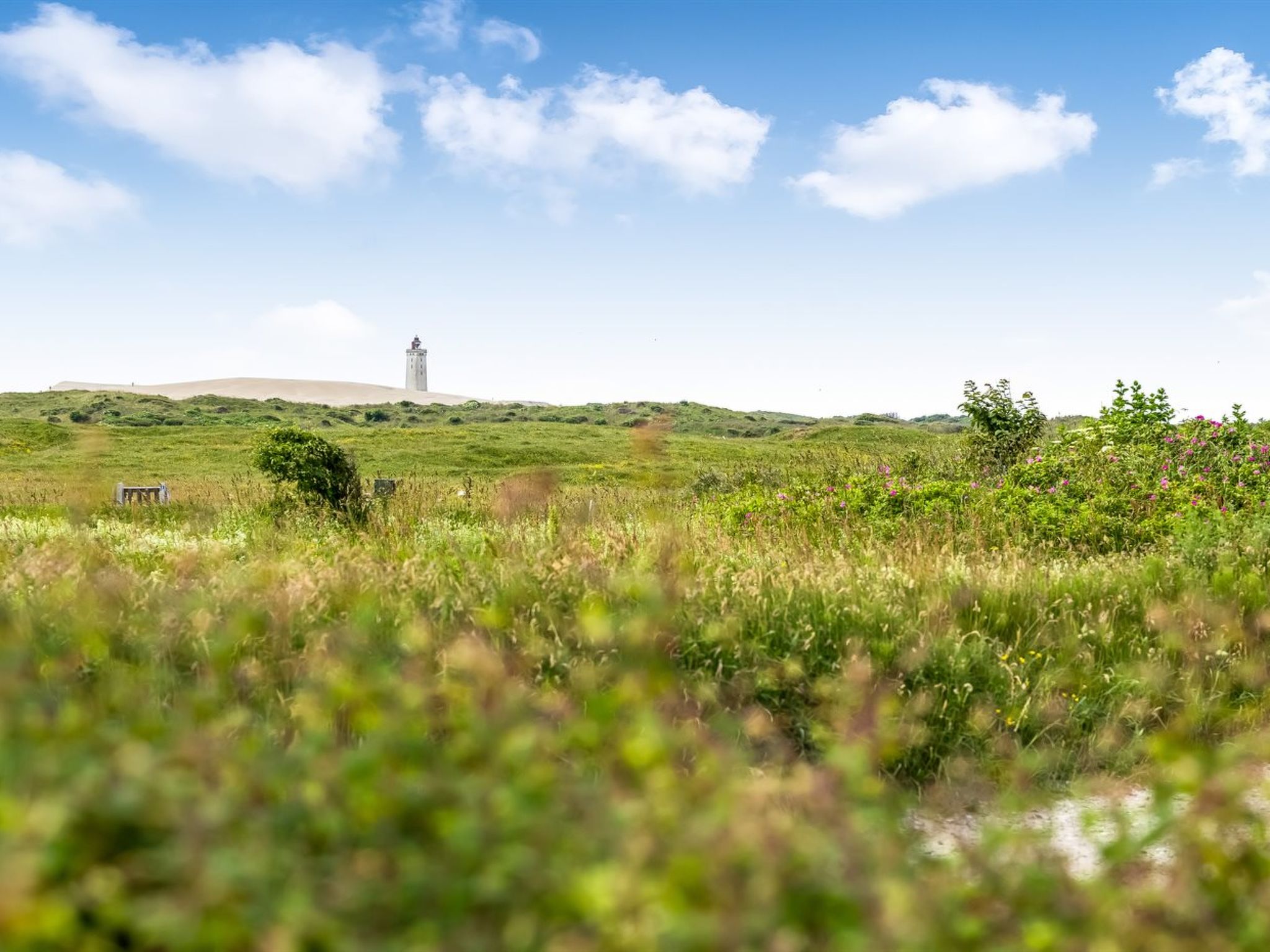 "Albert" - 340m from the sea - Outside