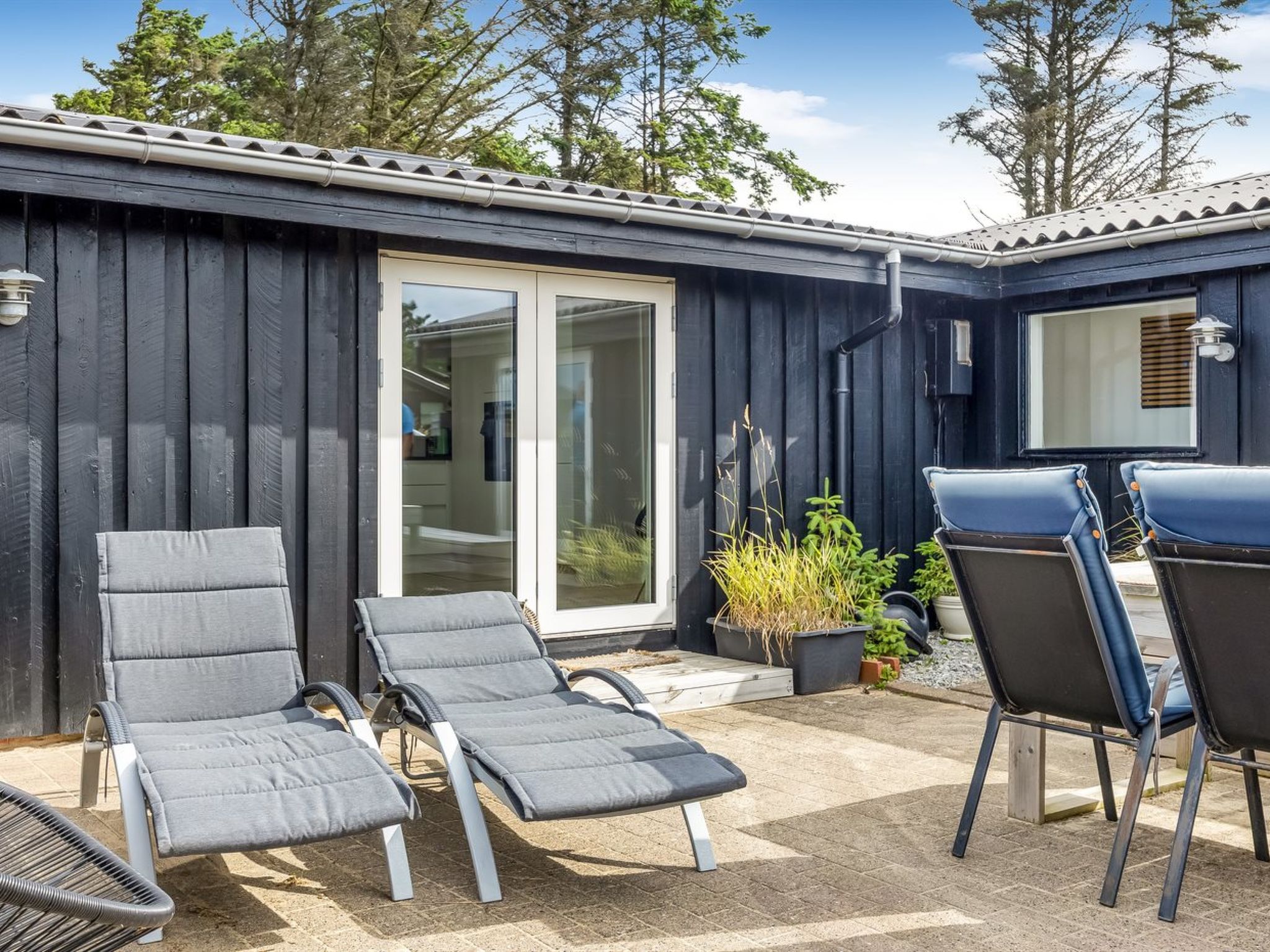 "Albert" - 340m from the sea - Outside
