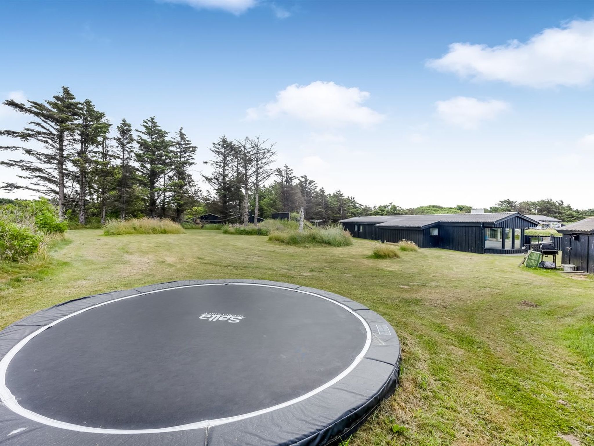 "Albert" - 340m from the sea - Outside