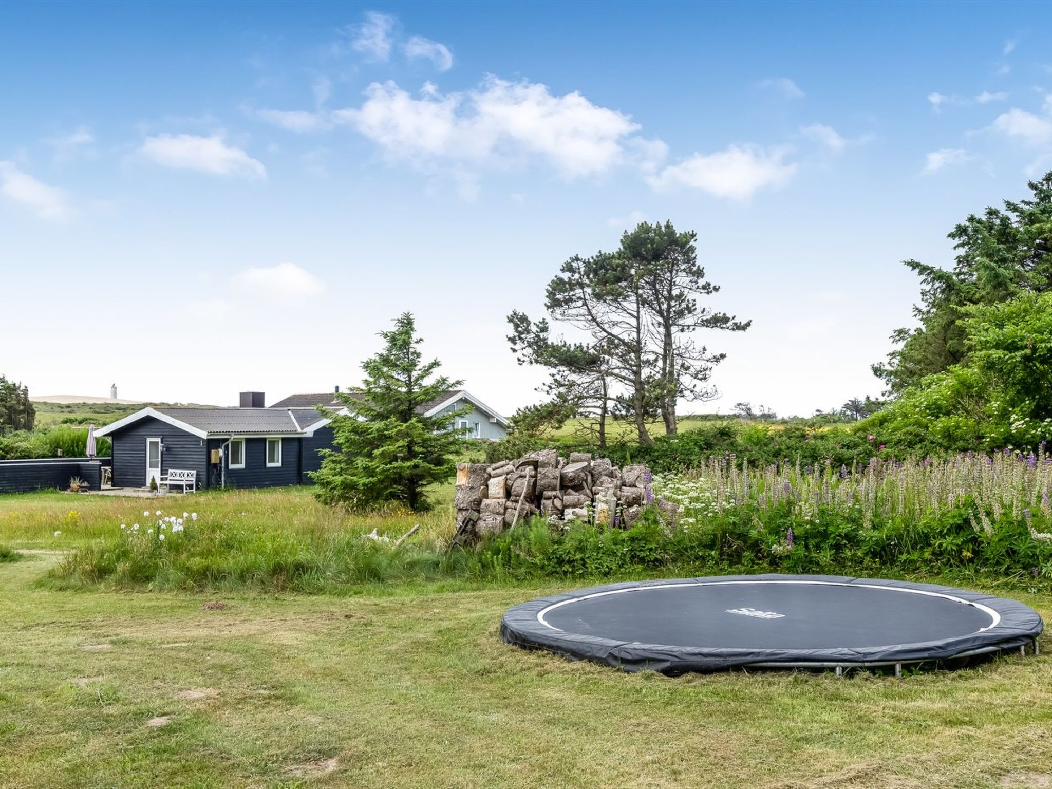 "Albert" - 340m from the sea - Outside
