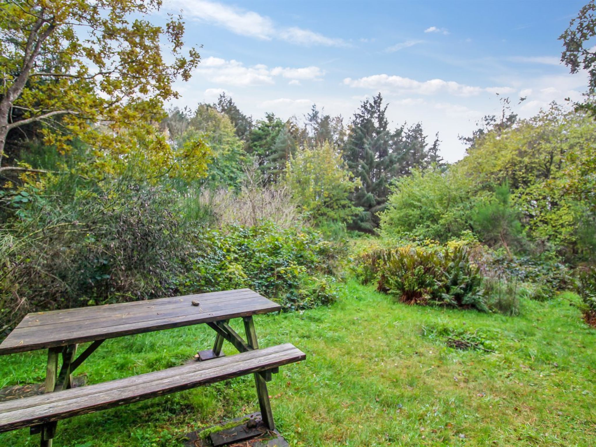 "Muriel" - 1.1km from the sea — Terrace (3 of 25)