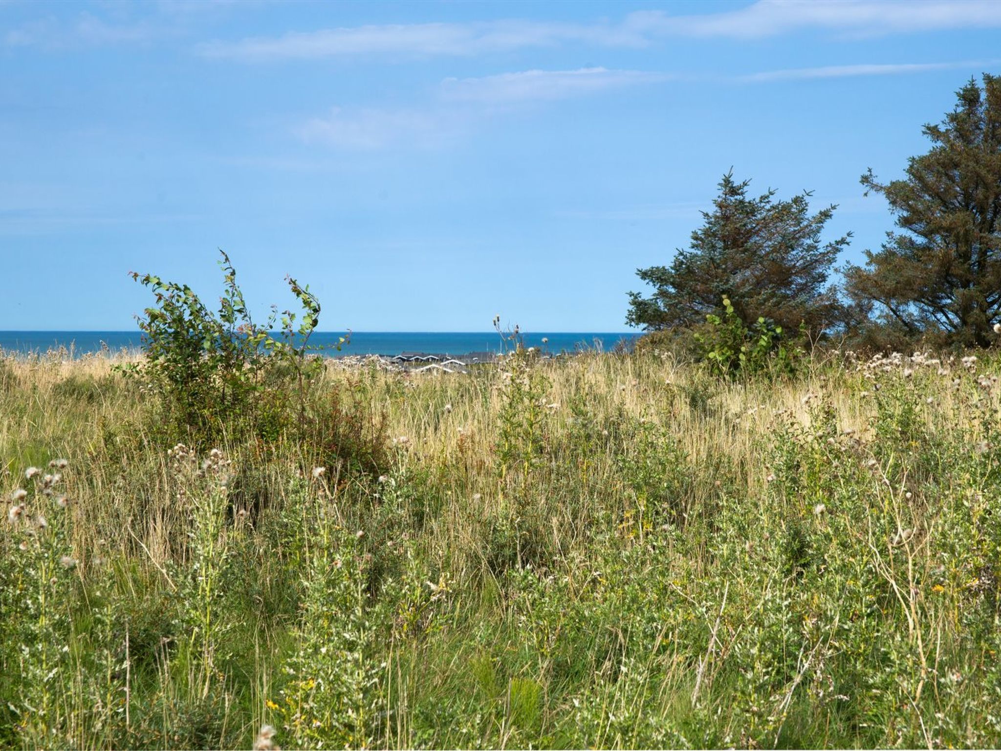 'Eeske' - 1km from the sea