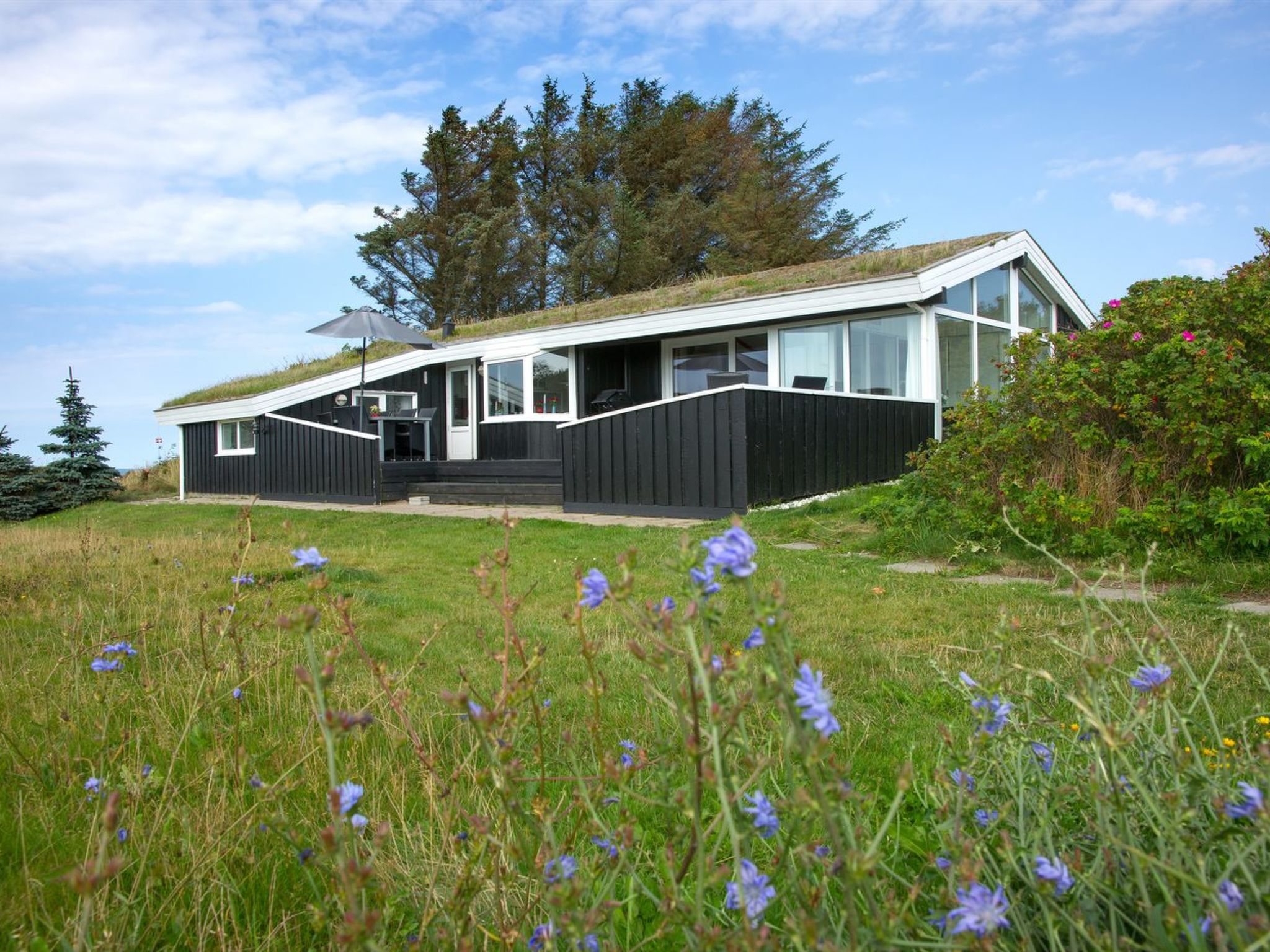 "Eeske" - 1km from the sea-Buiten