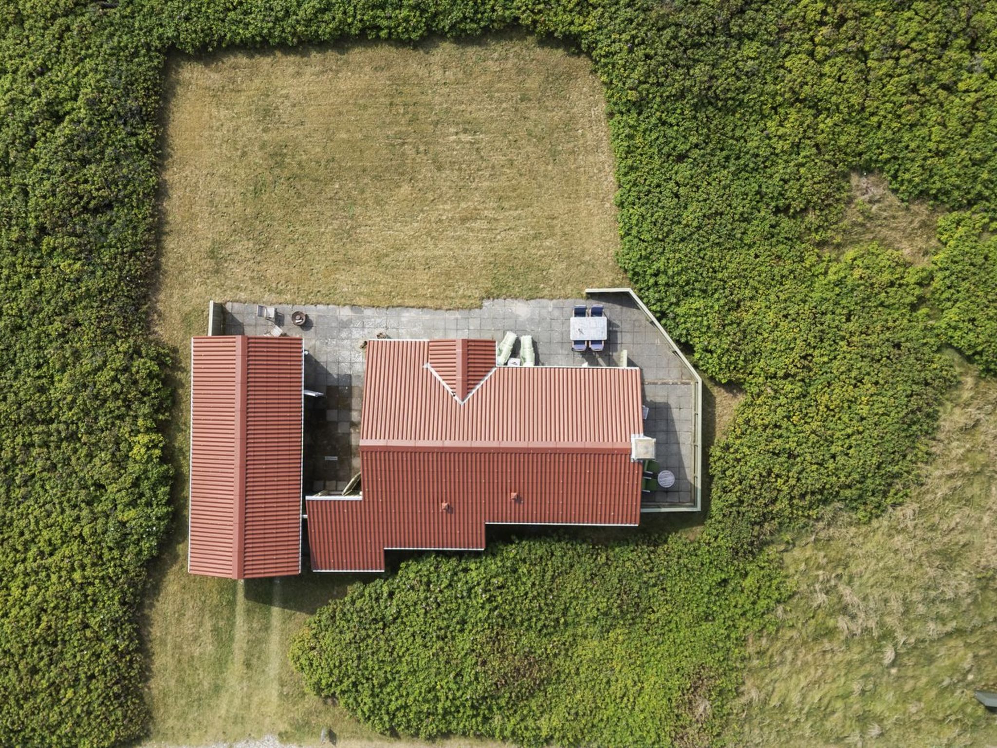 "Ovine" - 200m from the sea