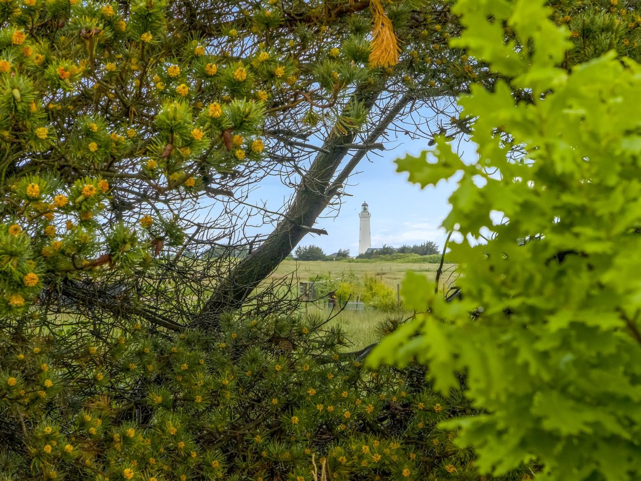 "Käthe" - 700m from the sea-Dehors