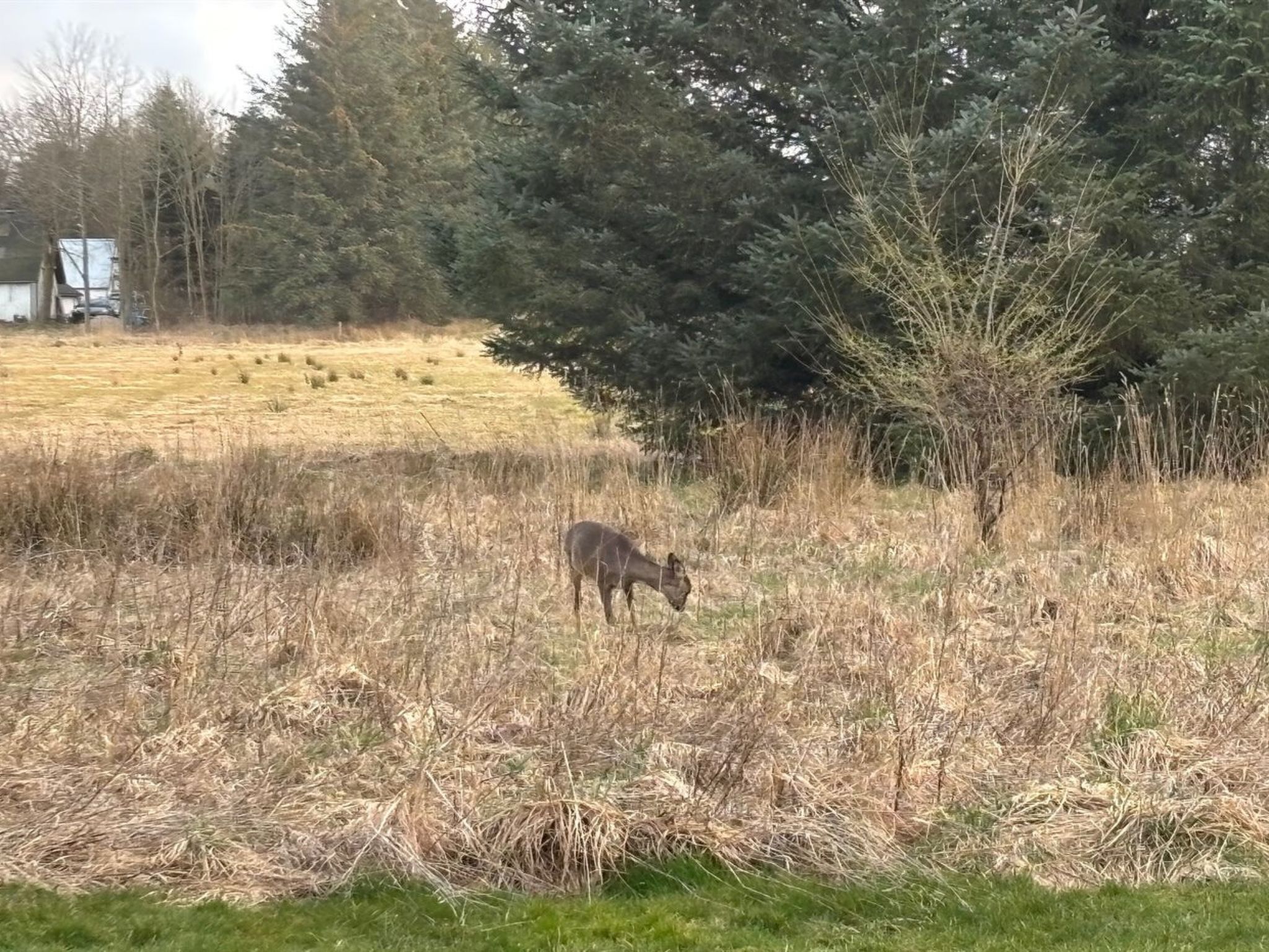 "Marla" - 1.1km from the sea-Buiten