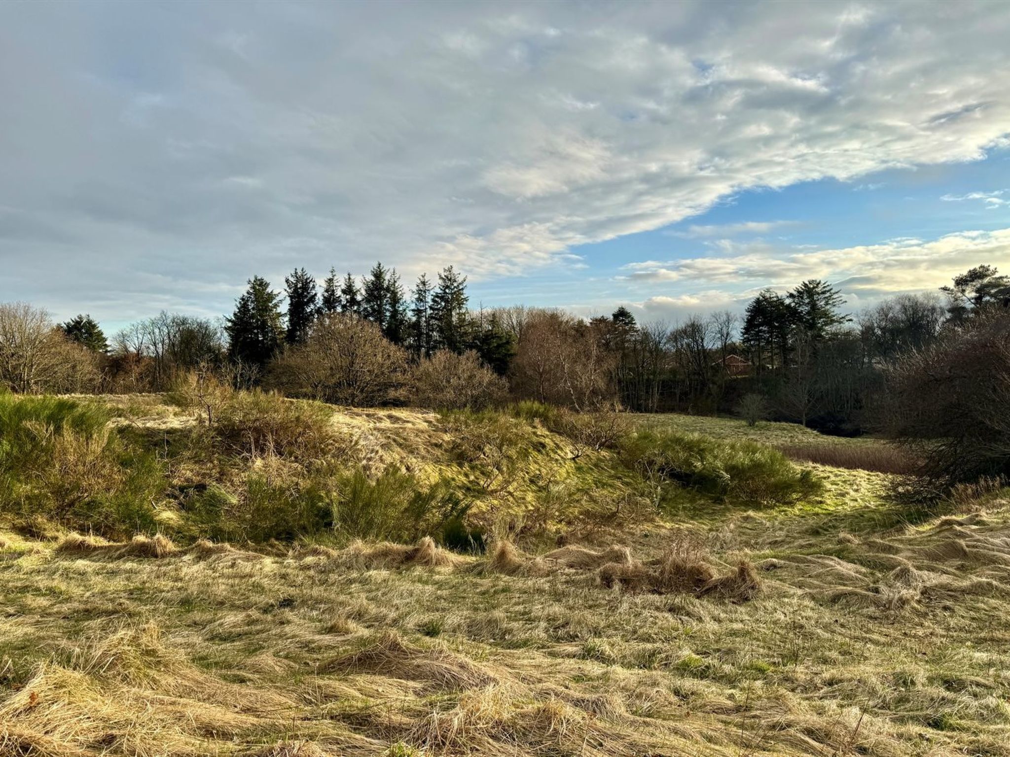 "Skammel" - 900m from the sea-Buiten