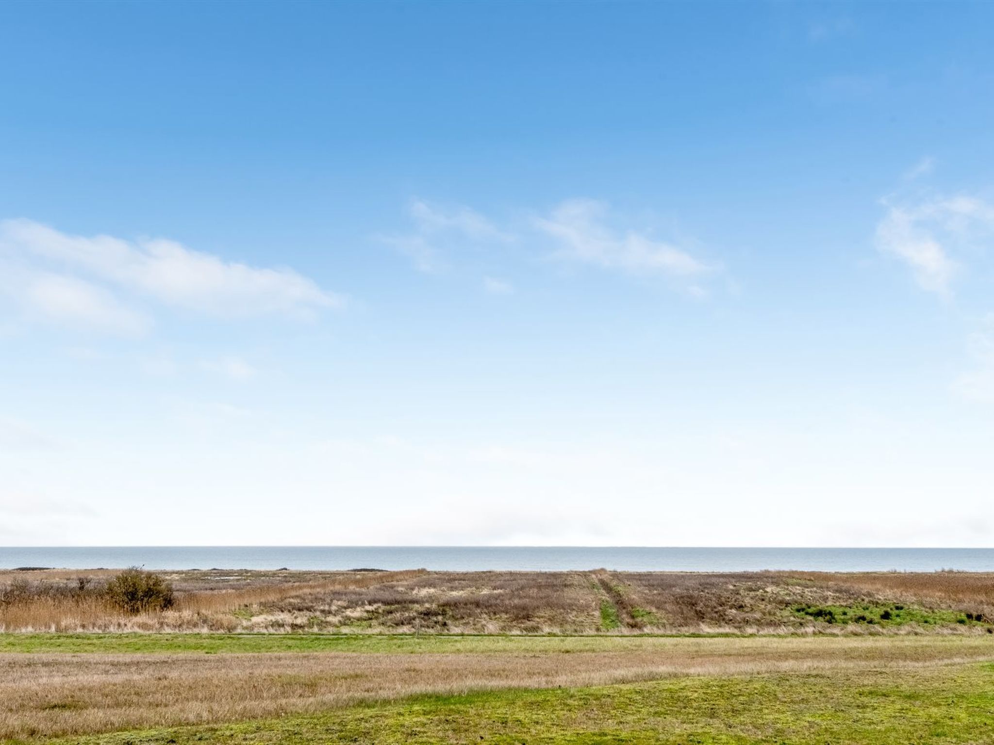 "Richard" - 400m from the sea