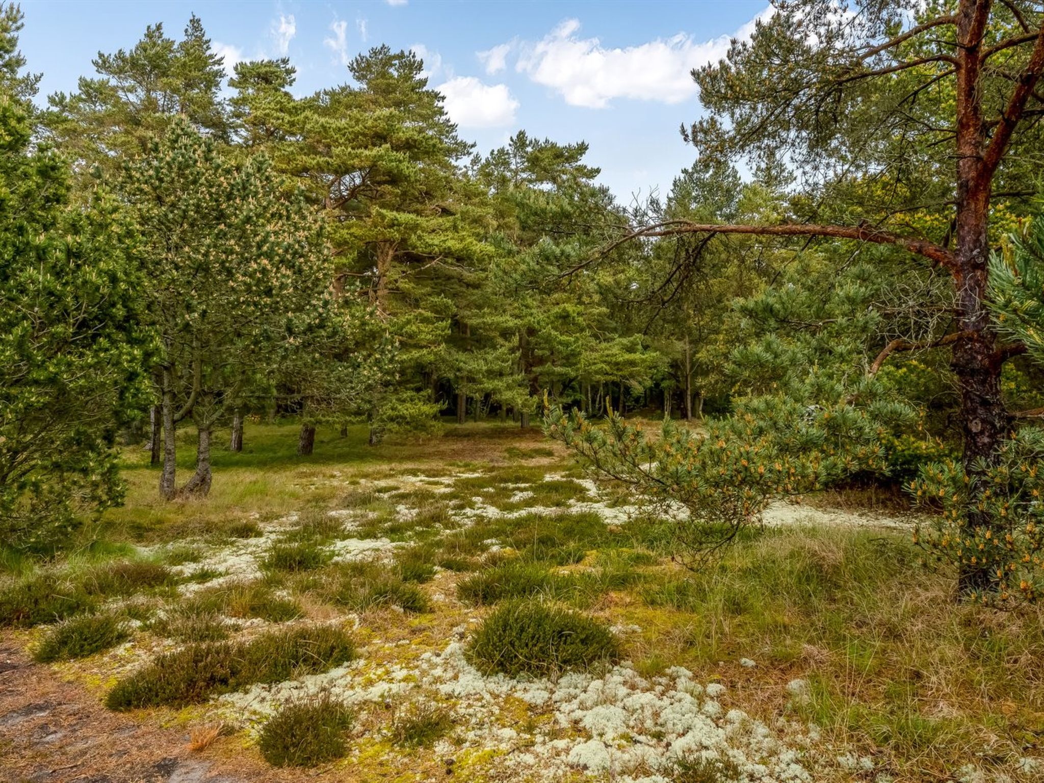 "Eliza" - 600m from the sea - Buiten
