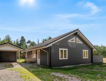 Vakantiehuis op Læsø met open haard en sauna nabij de zee - thumbnail 1