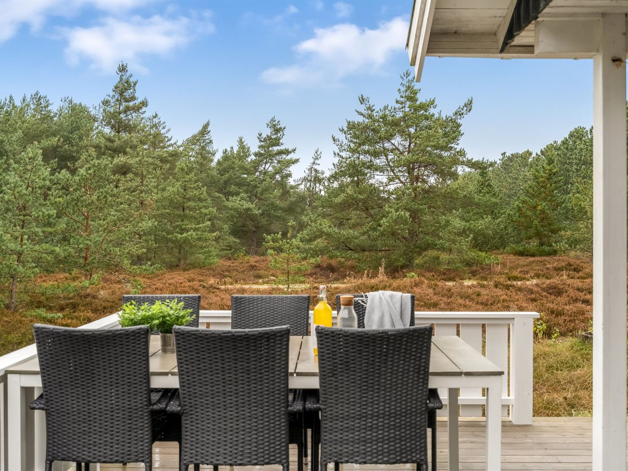 "Syrine" - 300m from the sea - Buiten