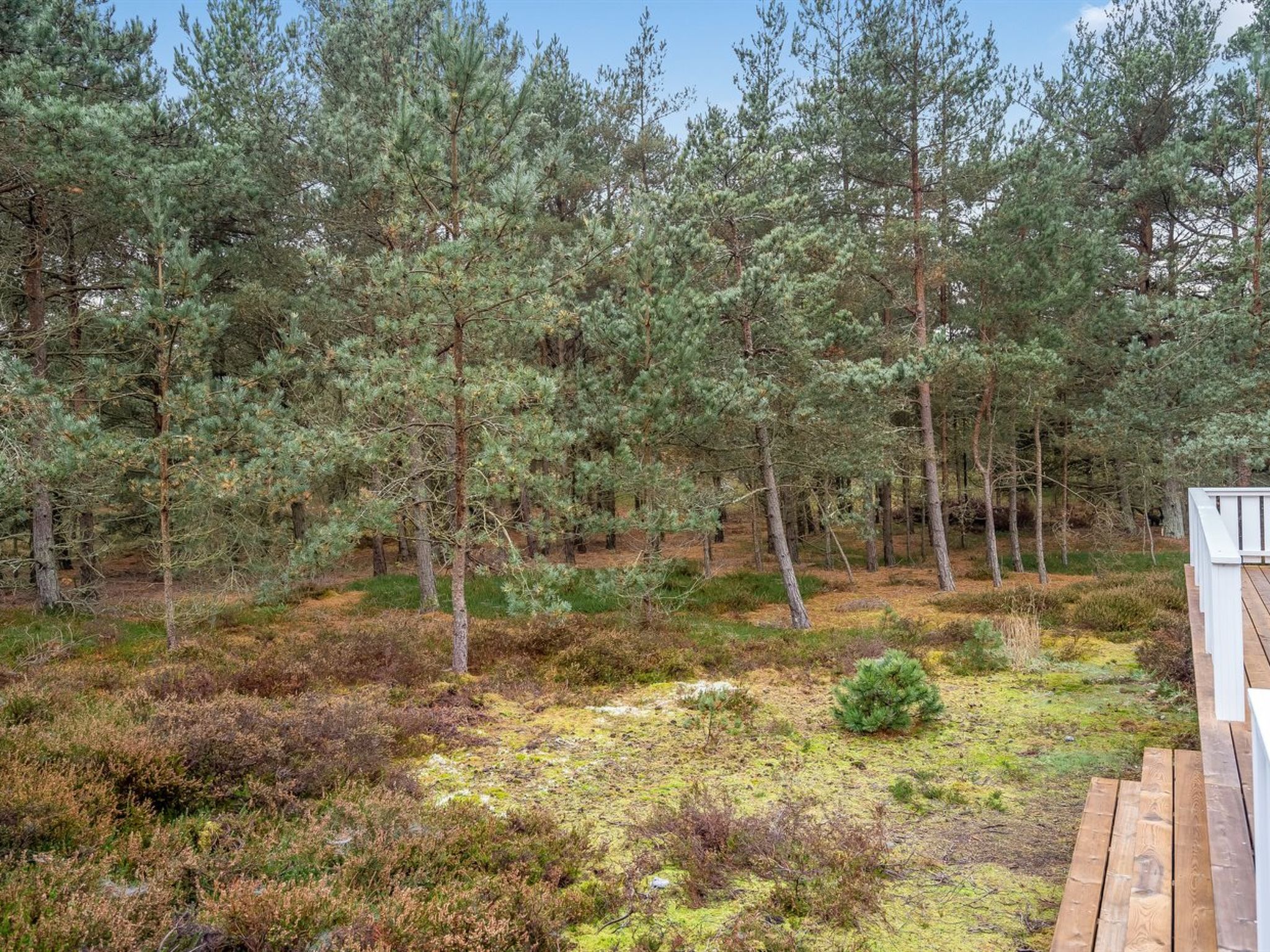 "Syrine" - 300m from the sea - Buiten