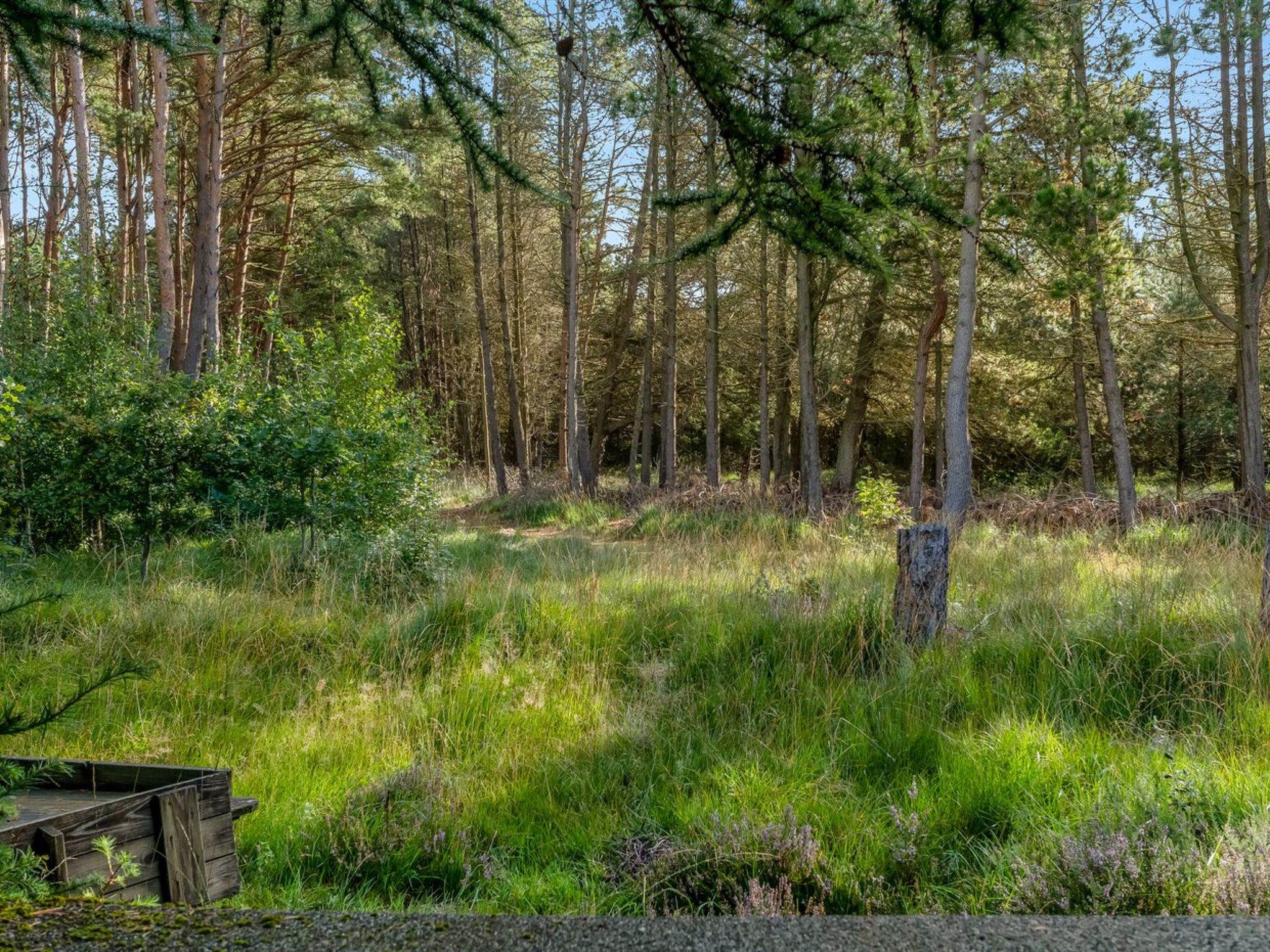 "Bernadine" - 350m from the sea - Buiten