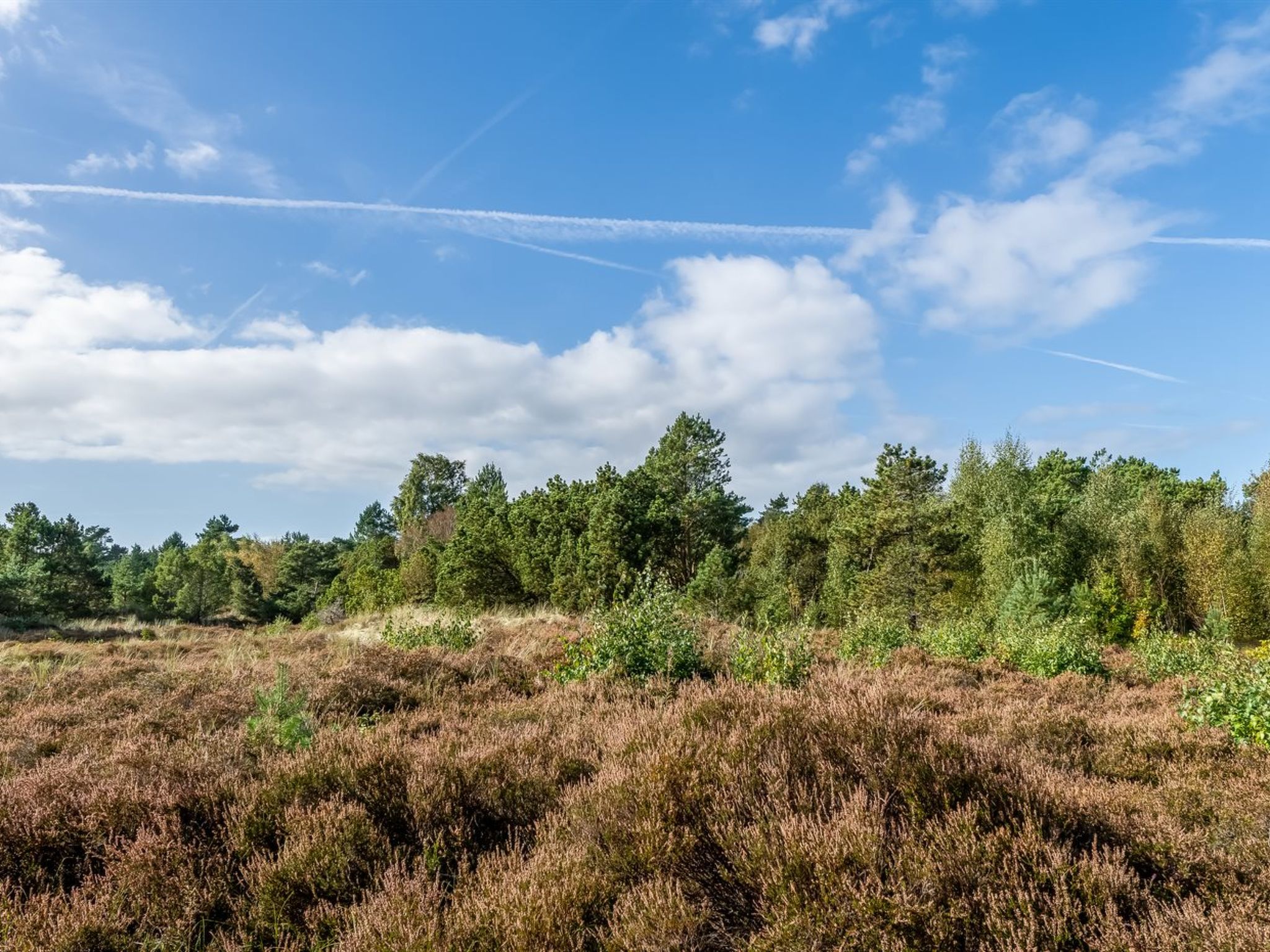 "Ertan" - 500m from the sea - Buiten