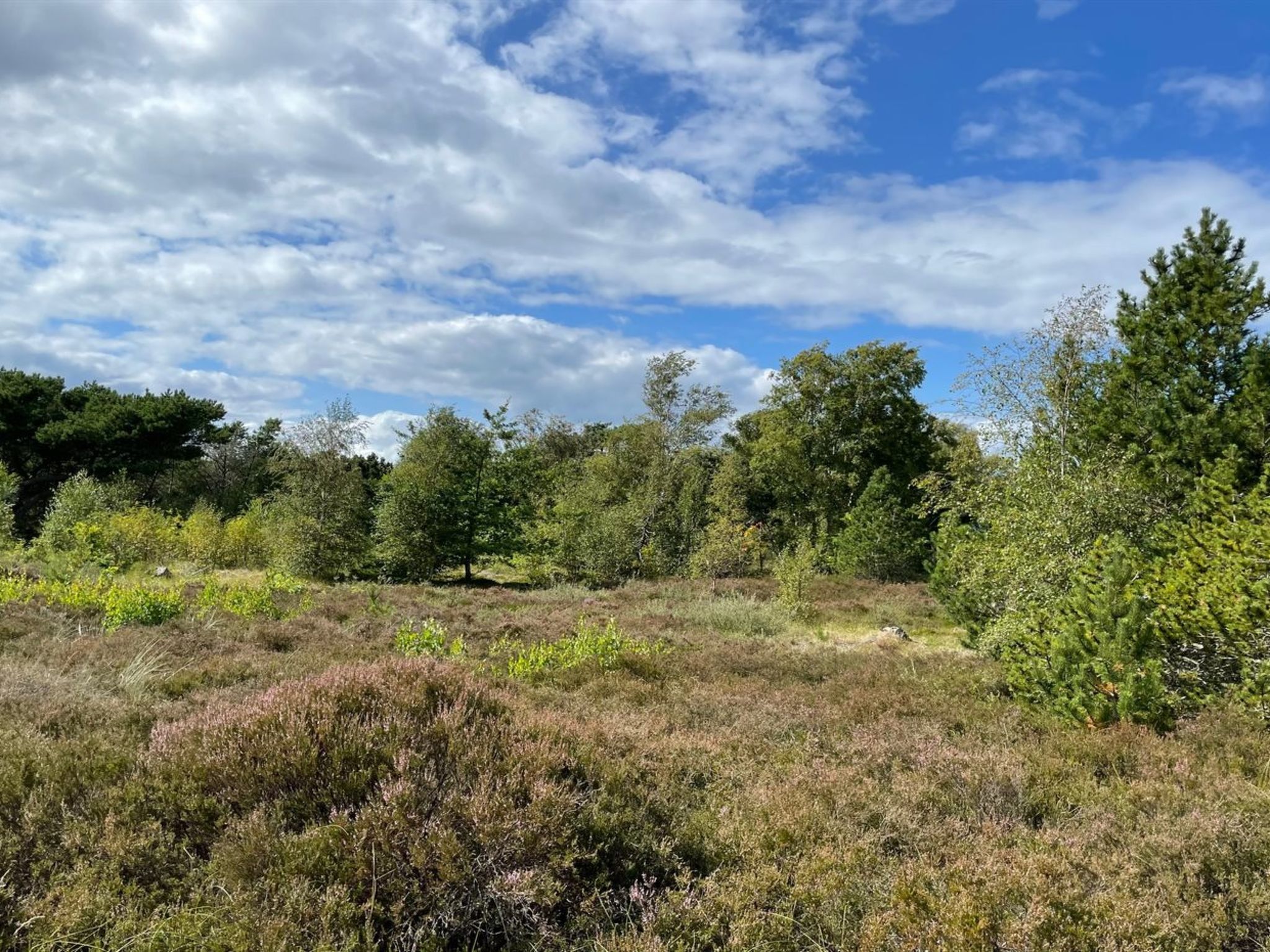 "Ertan" - 500m from the sea - Buiten