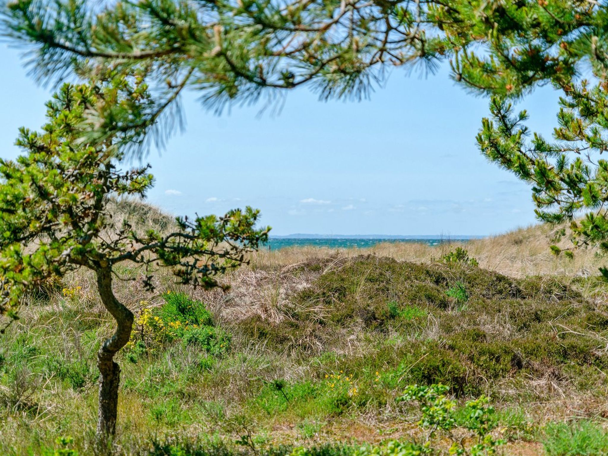 "Petersen" - 50m from the sea - Buiten