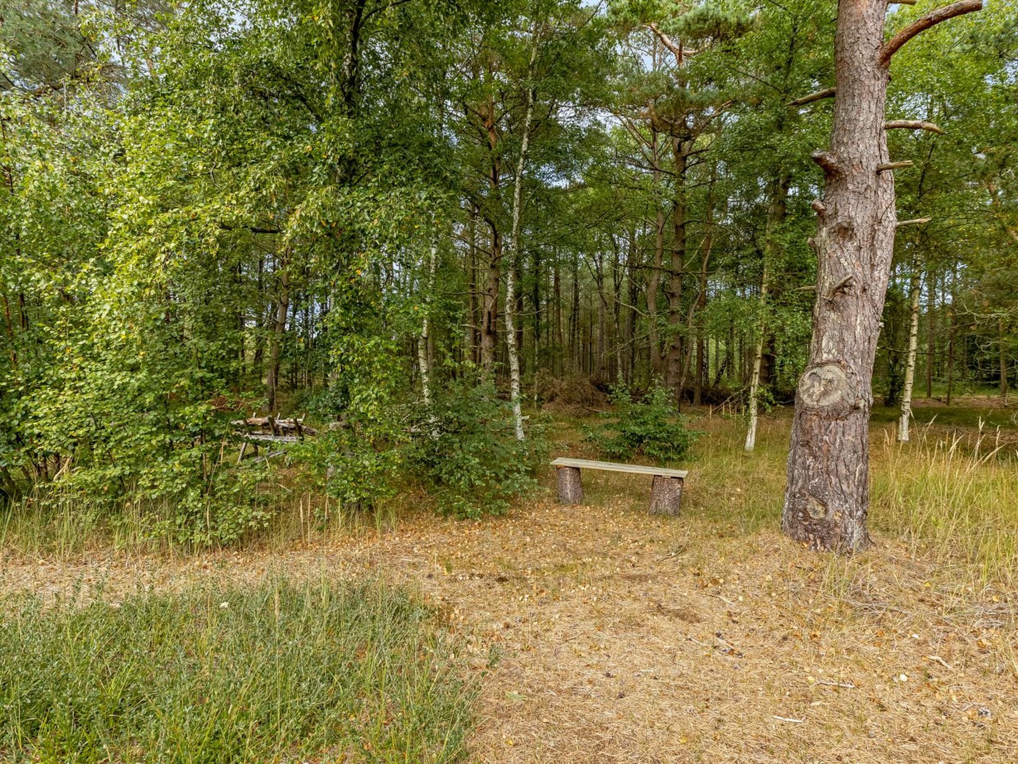 "Helmtrud" - 500m from the sea - Dehors