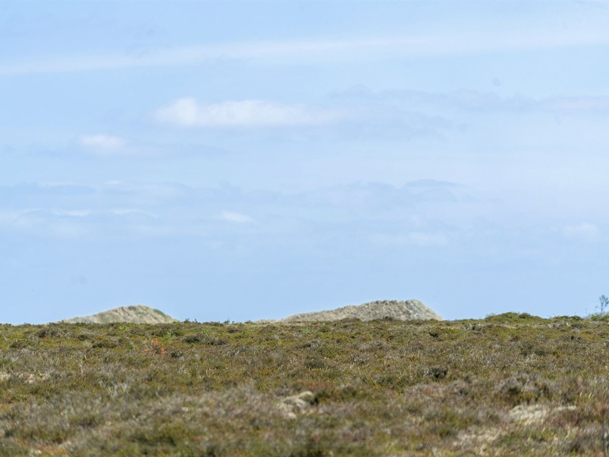"Hrefna" - 350m from the sea