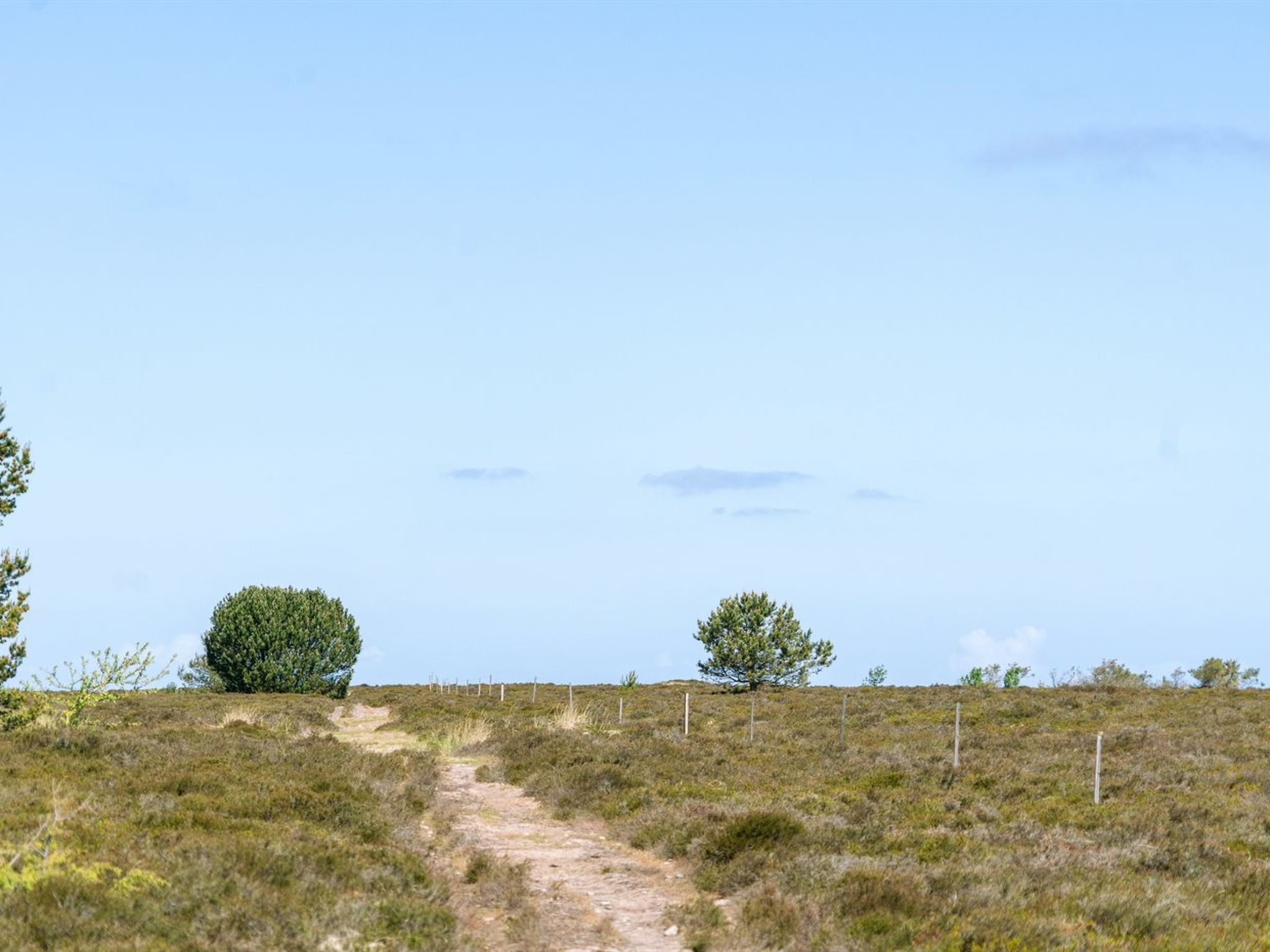 "Hrefna" - 350m from the sea-Buiten