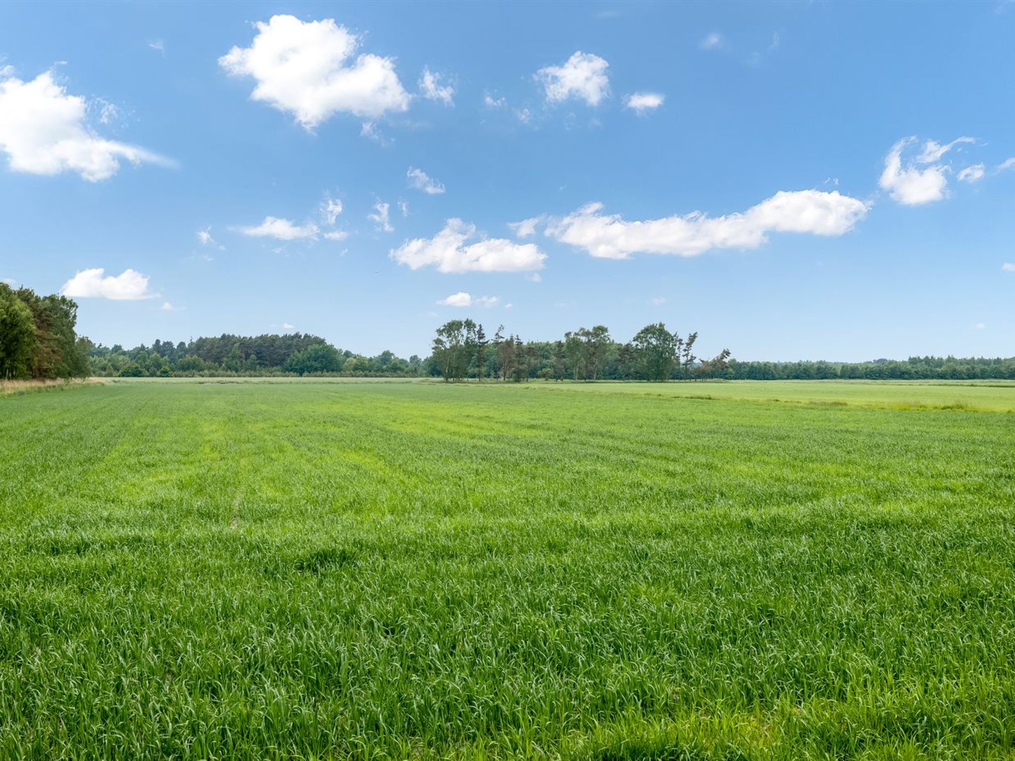 "Ema" - 5km from the sea - Buiten