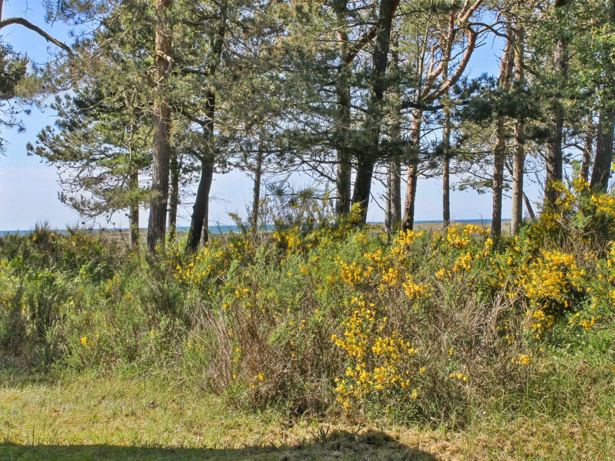 "Hatem" - 200m from the sea - Buiten