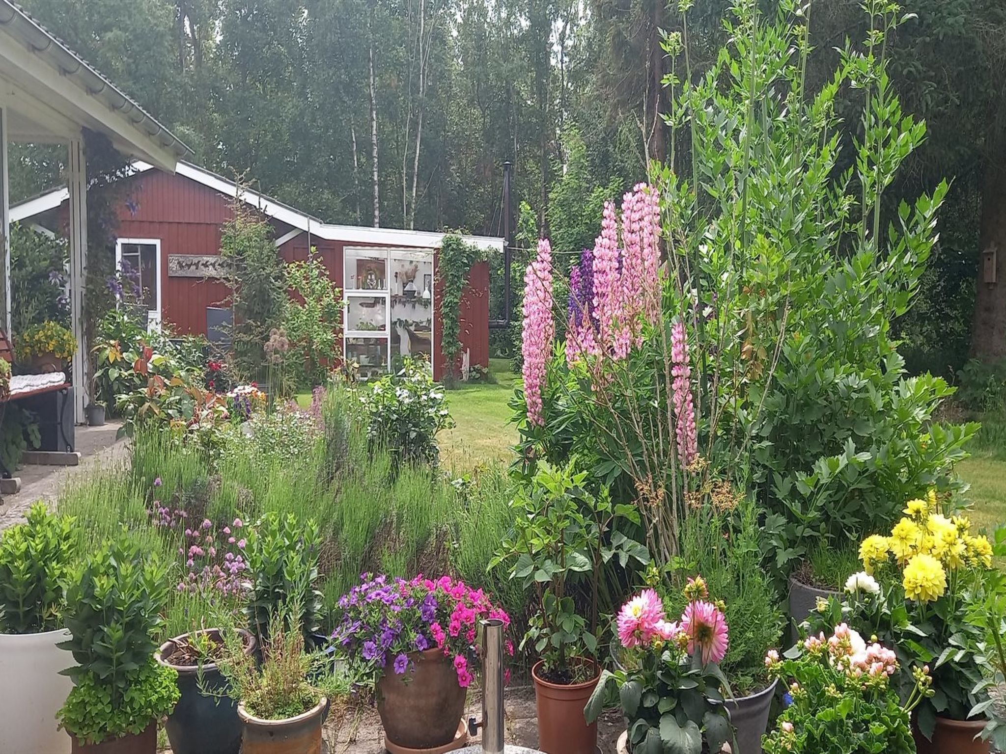 "Hartvig" - 800m from the sea