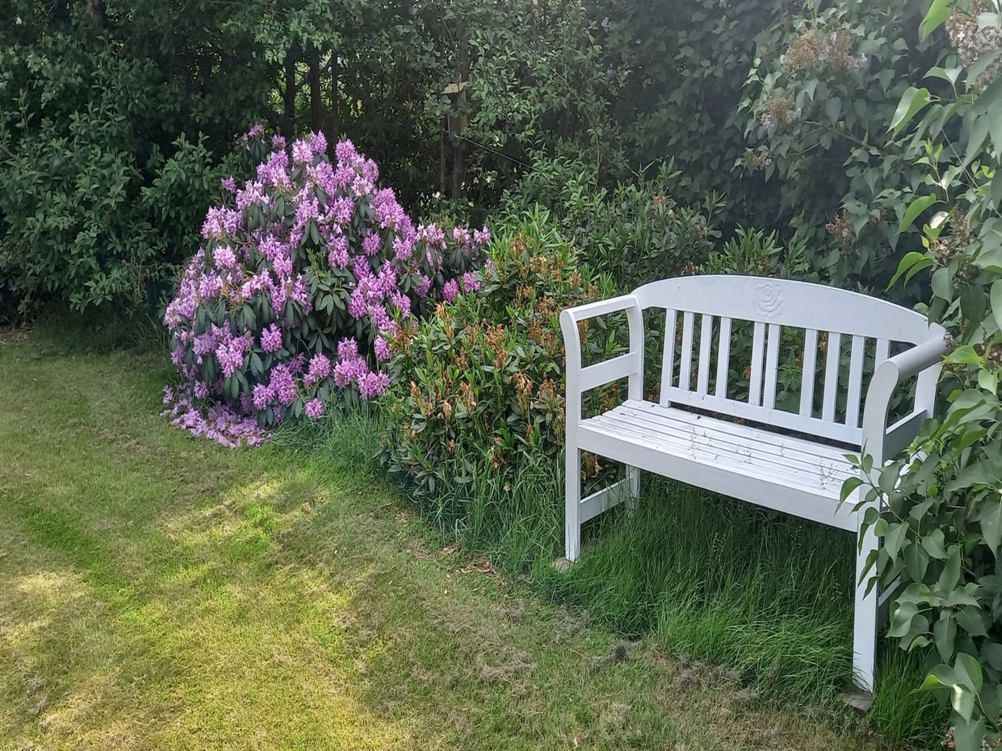 "Hartvig" - 800m from the sea - Buiten
