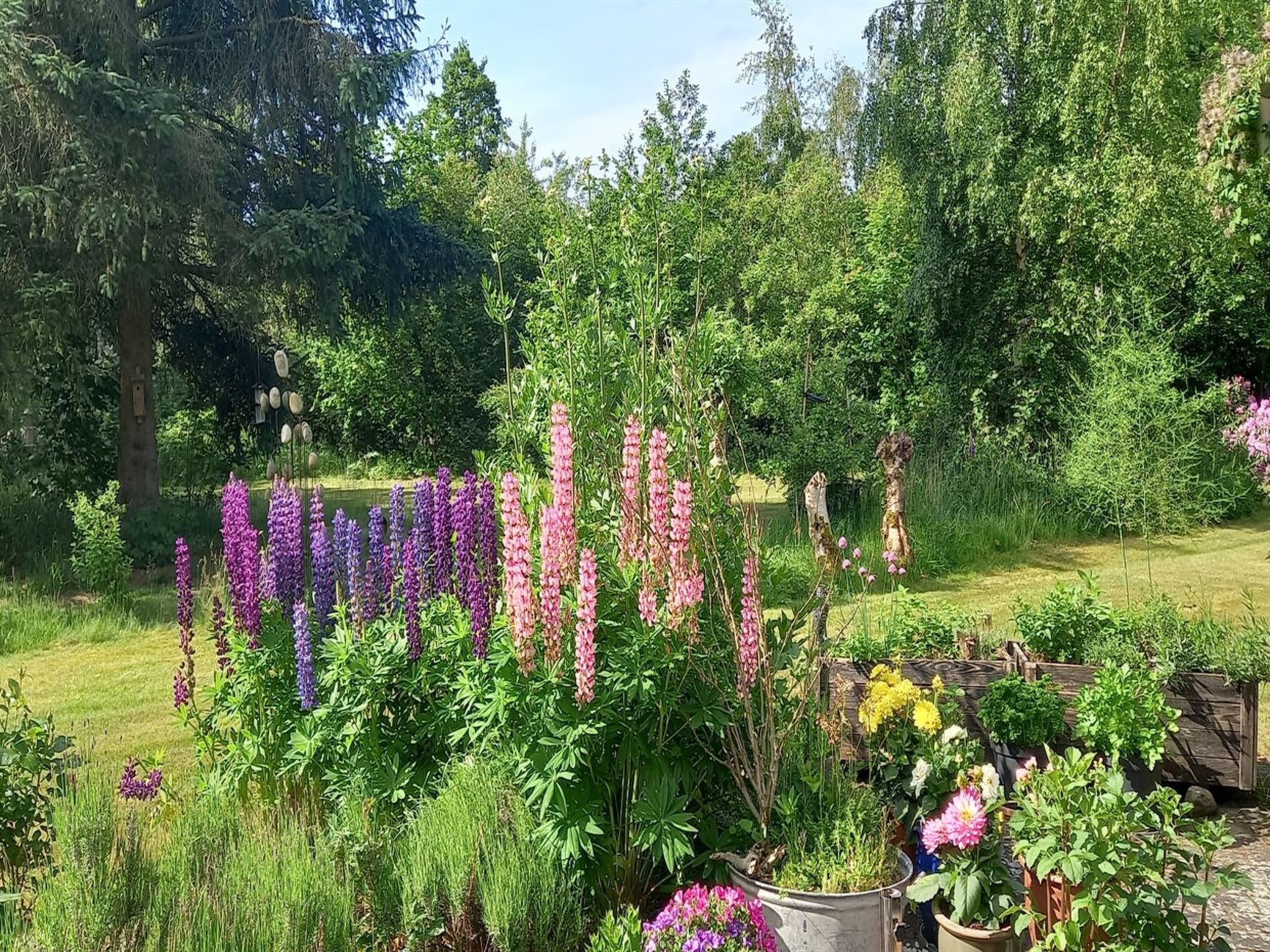 "Hartvig" - 800m from the sea - Buiten
