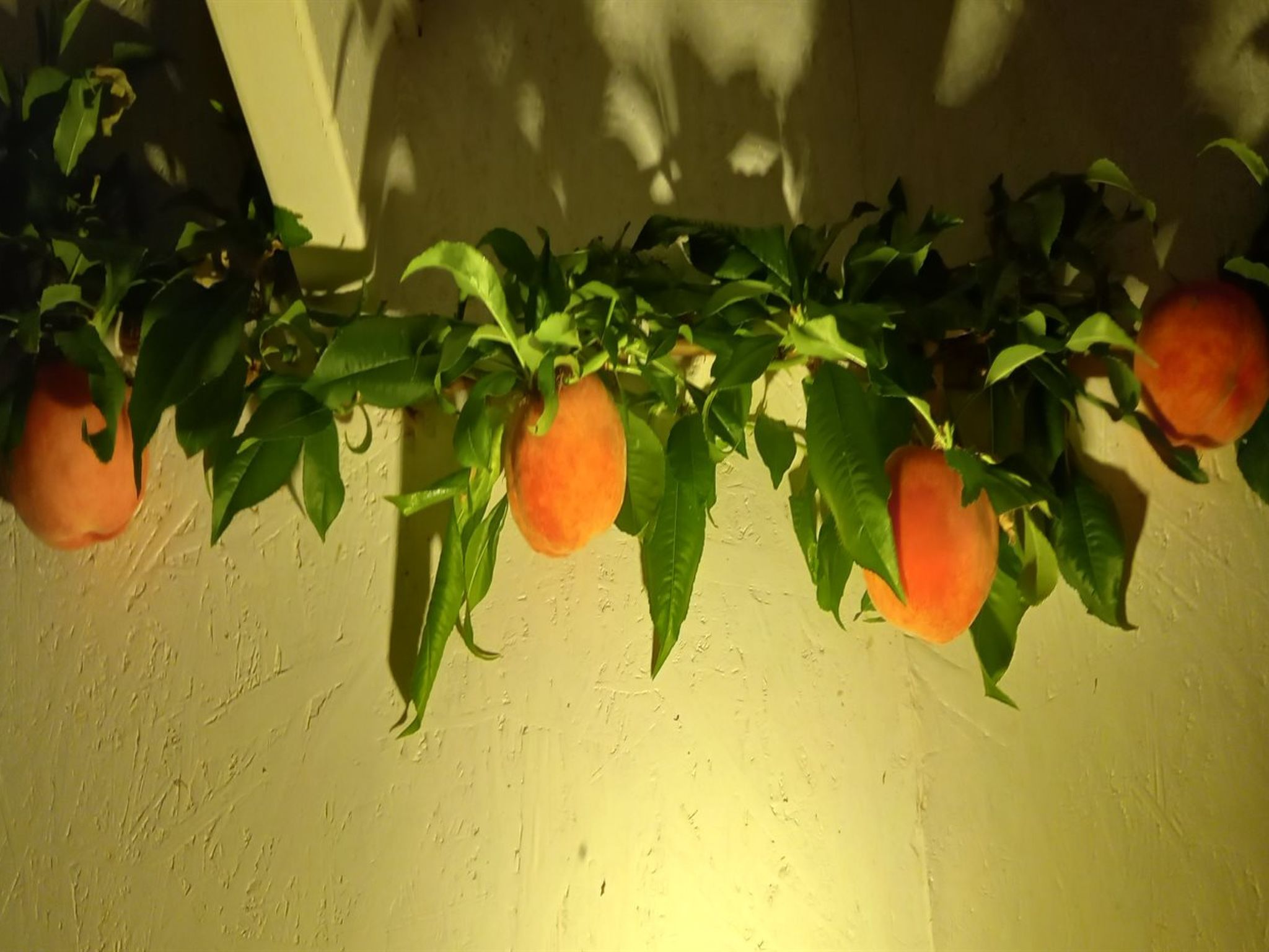 "Hartvig" - 800m from the sea-Dedans