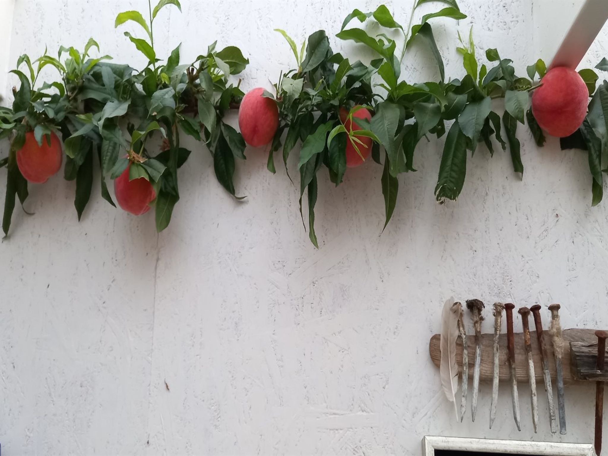 "Hartvig" - 800m from the sea-Dedans