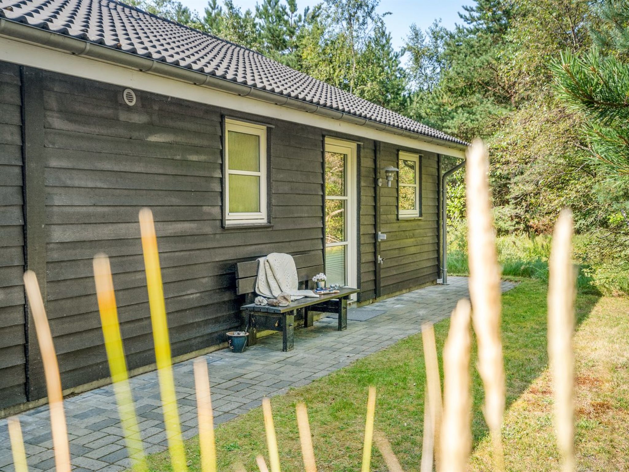 "Filimena" - 350m from the sea - Buiten