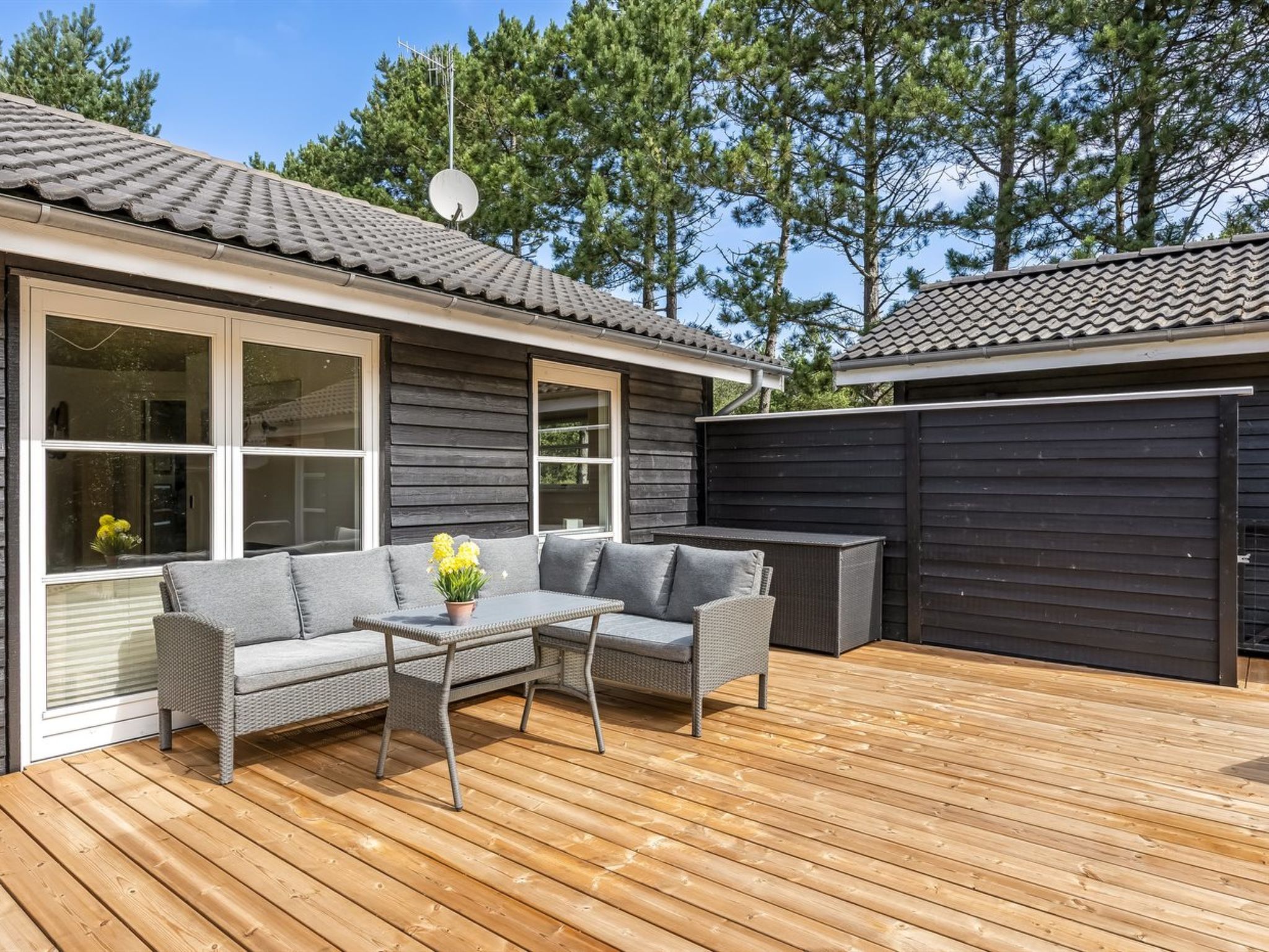 "Filimena" - 350m from the sea - Buiten
