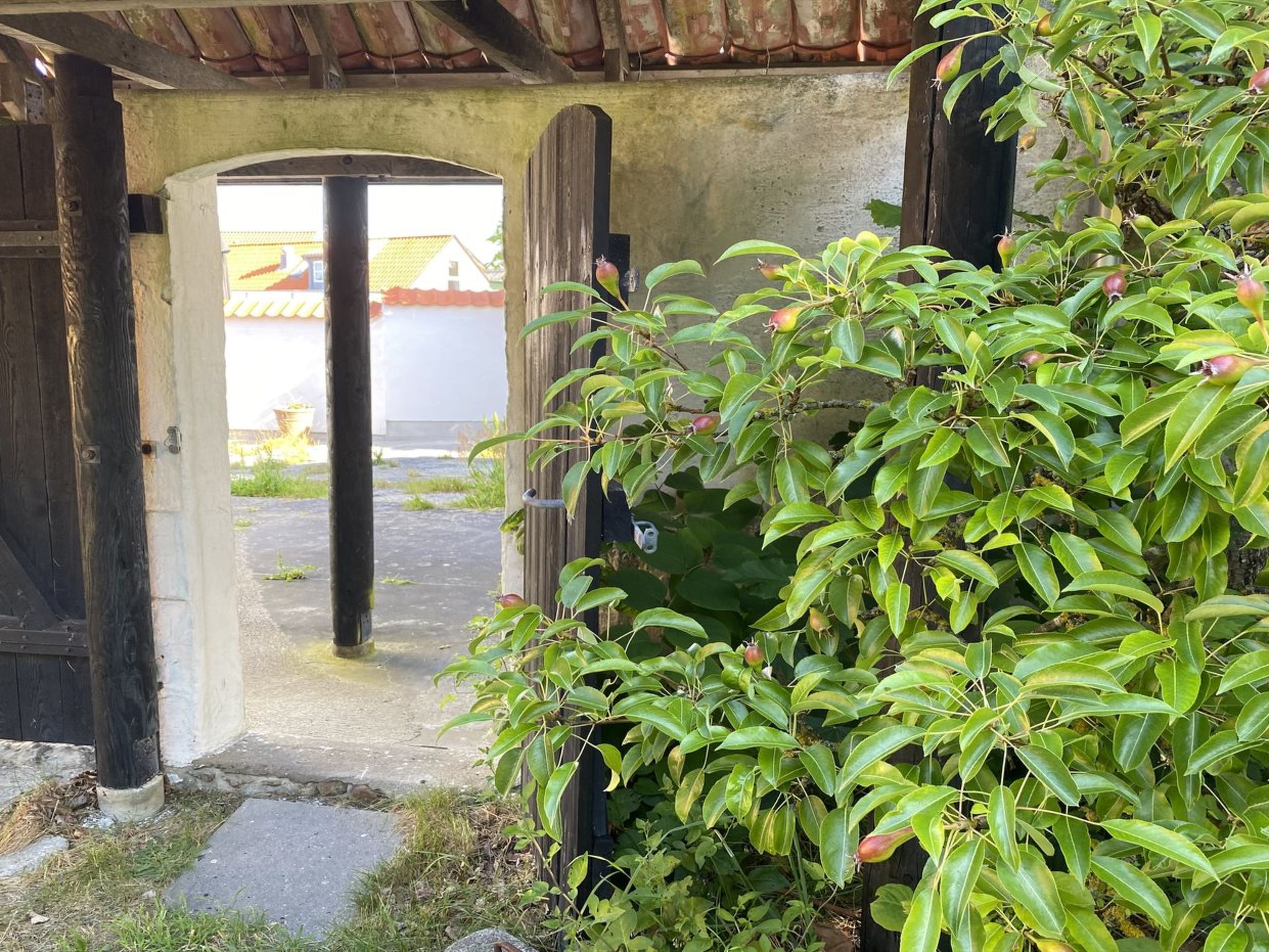 "Henke" - 100m from the sea - Dehors