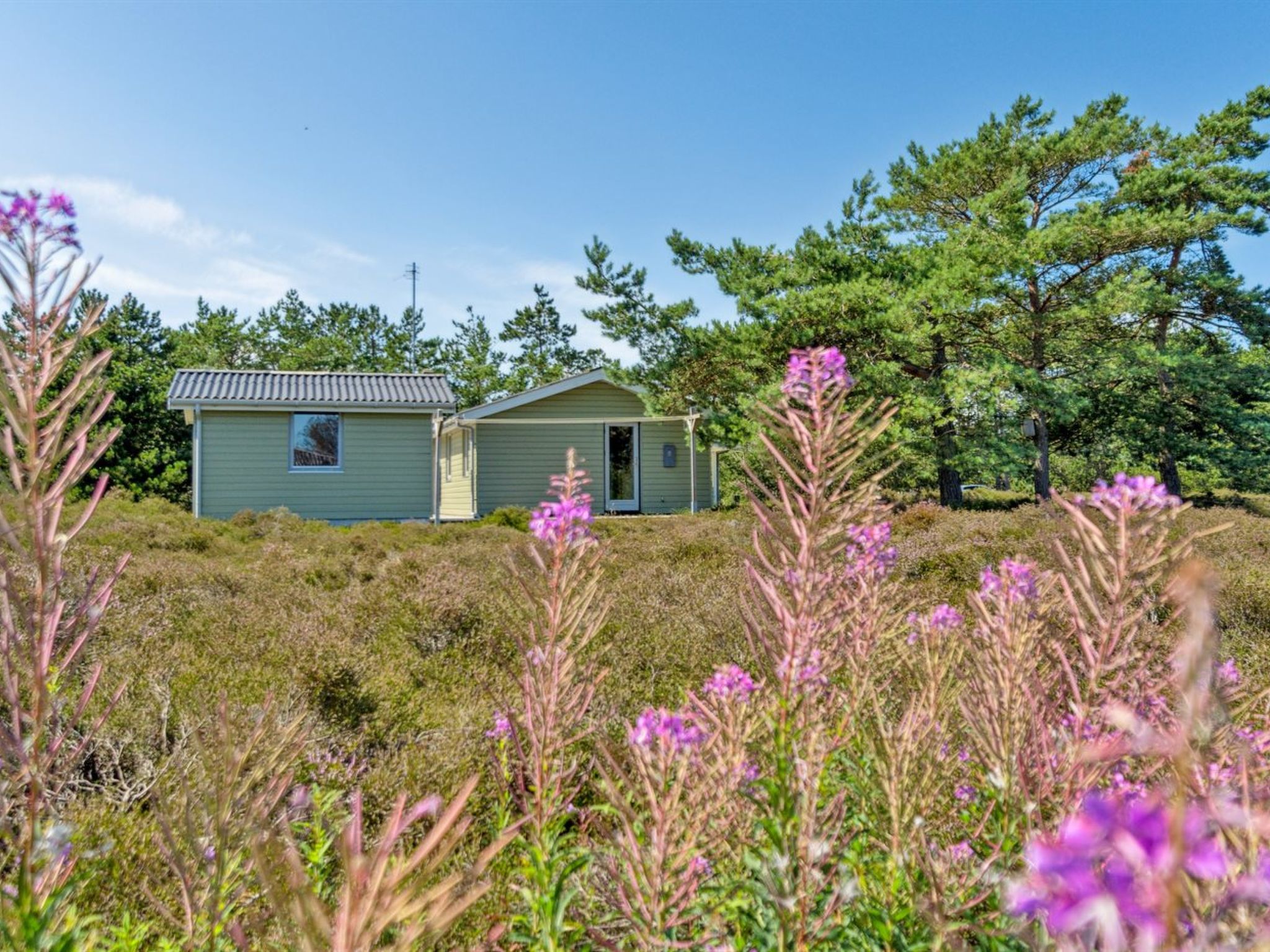 "Alwine" - 250m from the sea - Outside