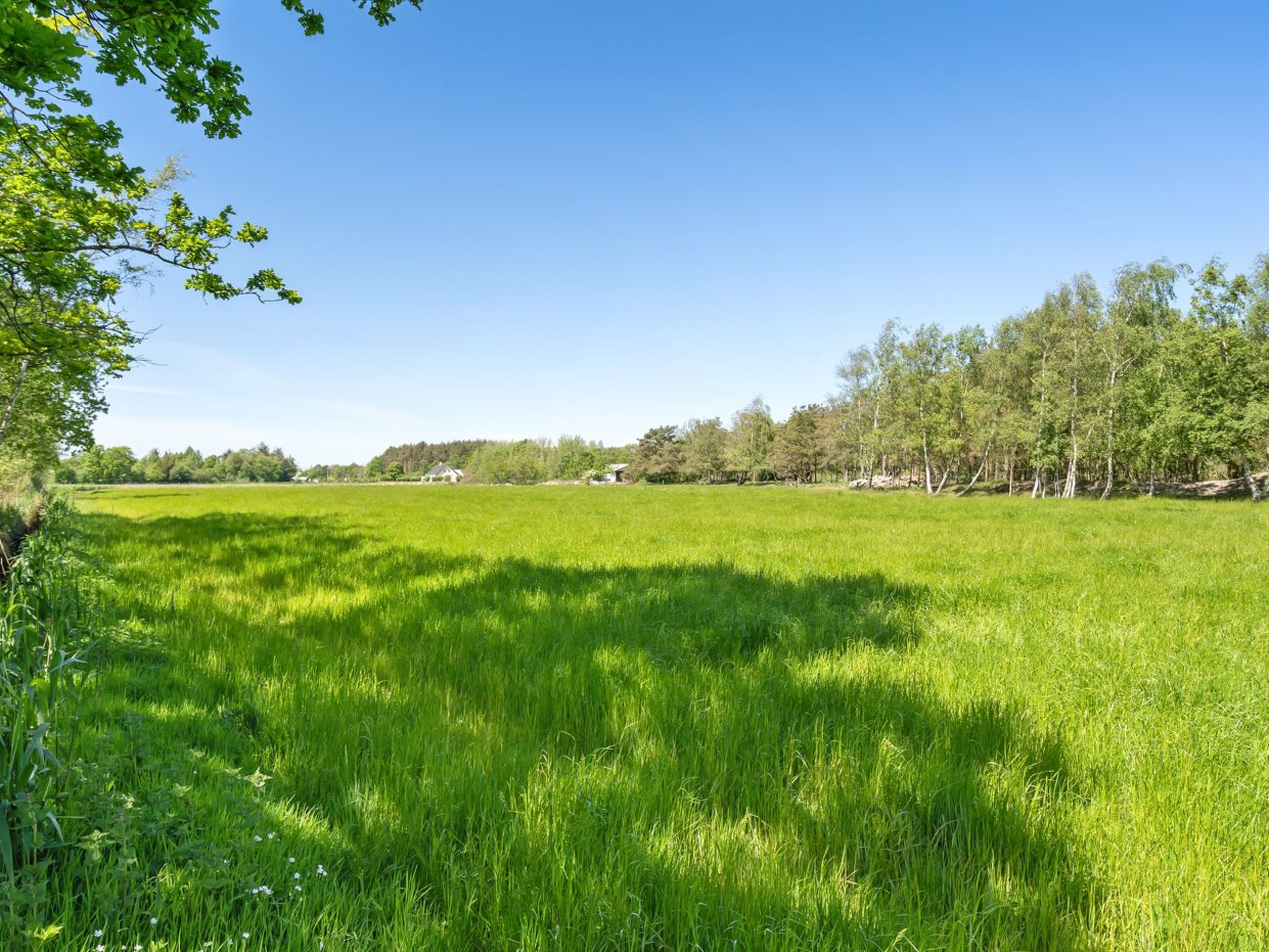 "Aldina" - 1.6km from the sea - Buiten