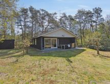 Vrijstaand vakantiehuis Idalina op 700 meter van de zee op Læsø - thumbnail 1